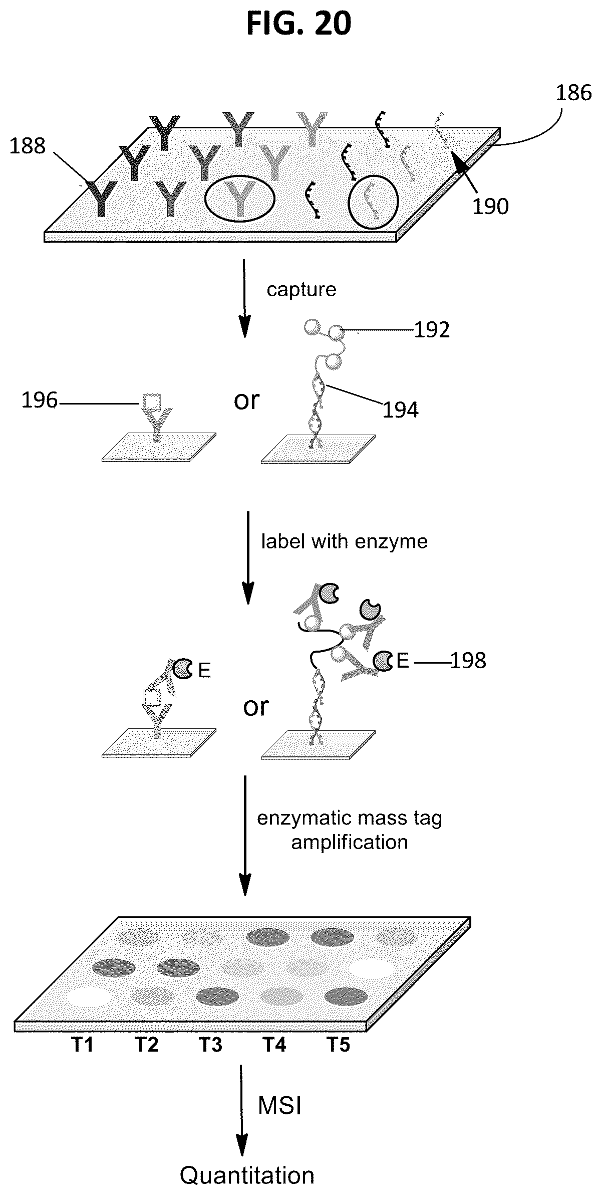 Patent US12092643 Figure 16 – Detecting targets using mass tags and mass spectrometry