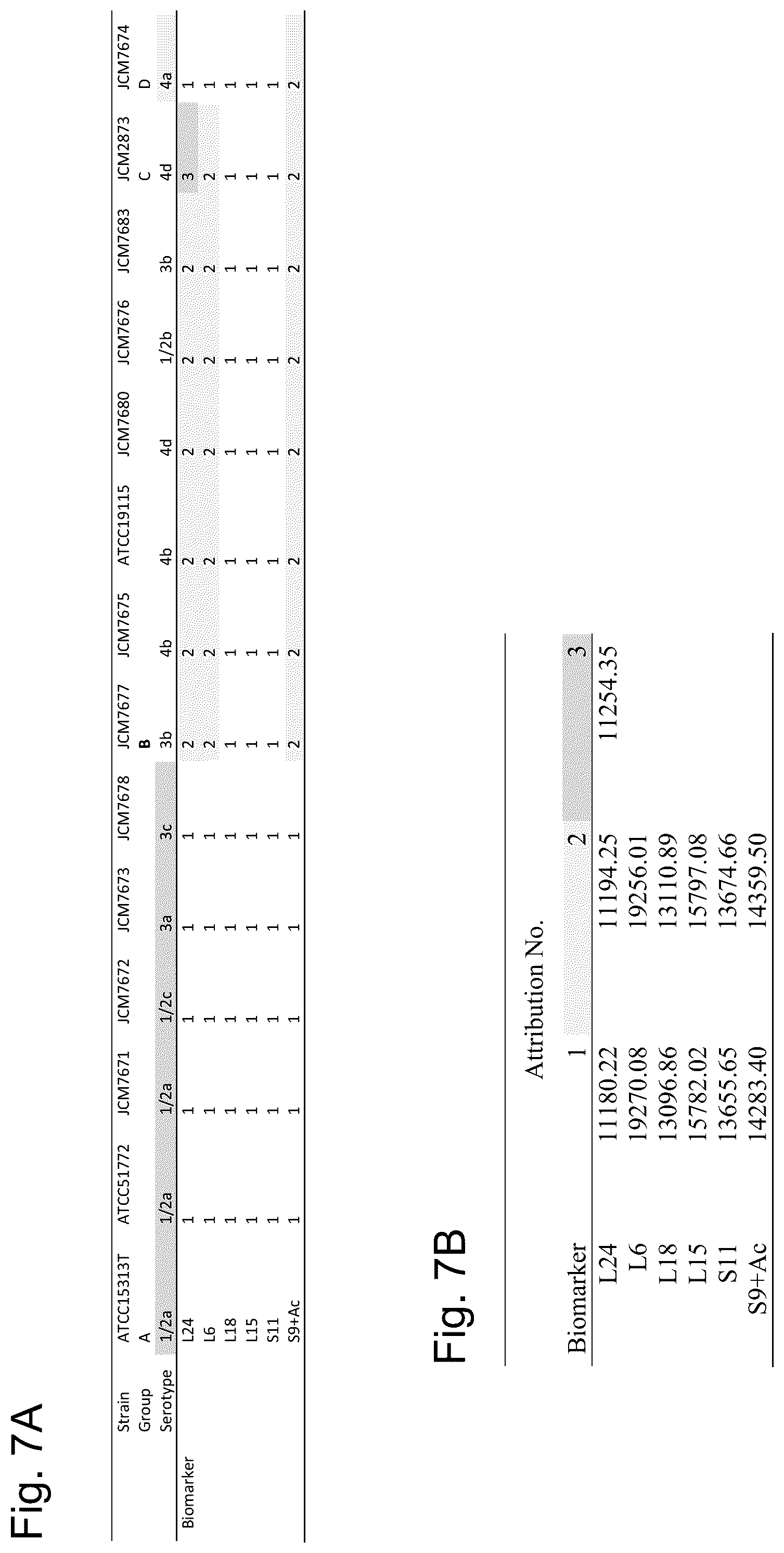 Patent US12092645 Figure 7 – Method for discriminating a microorganism