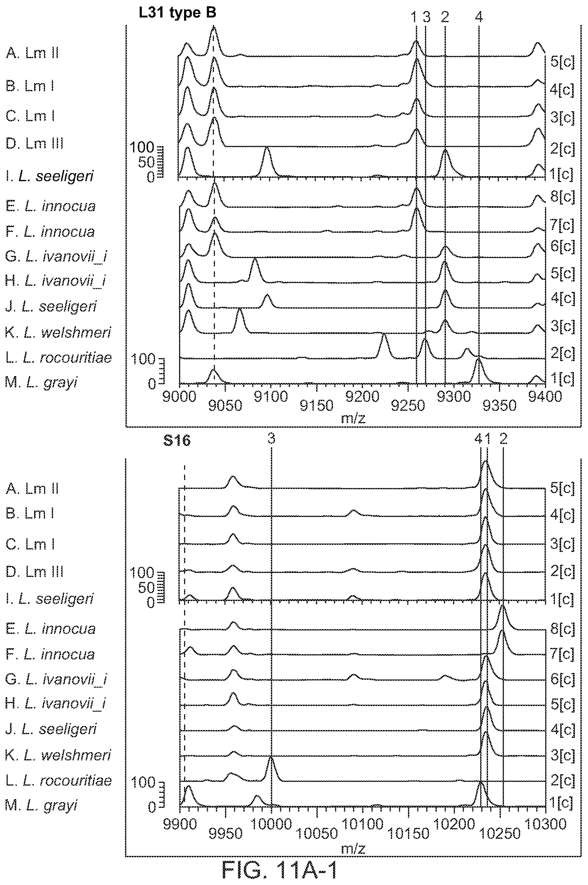 Patent US12092645 Figure 12 – Method for discriminating a microorganism