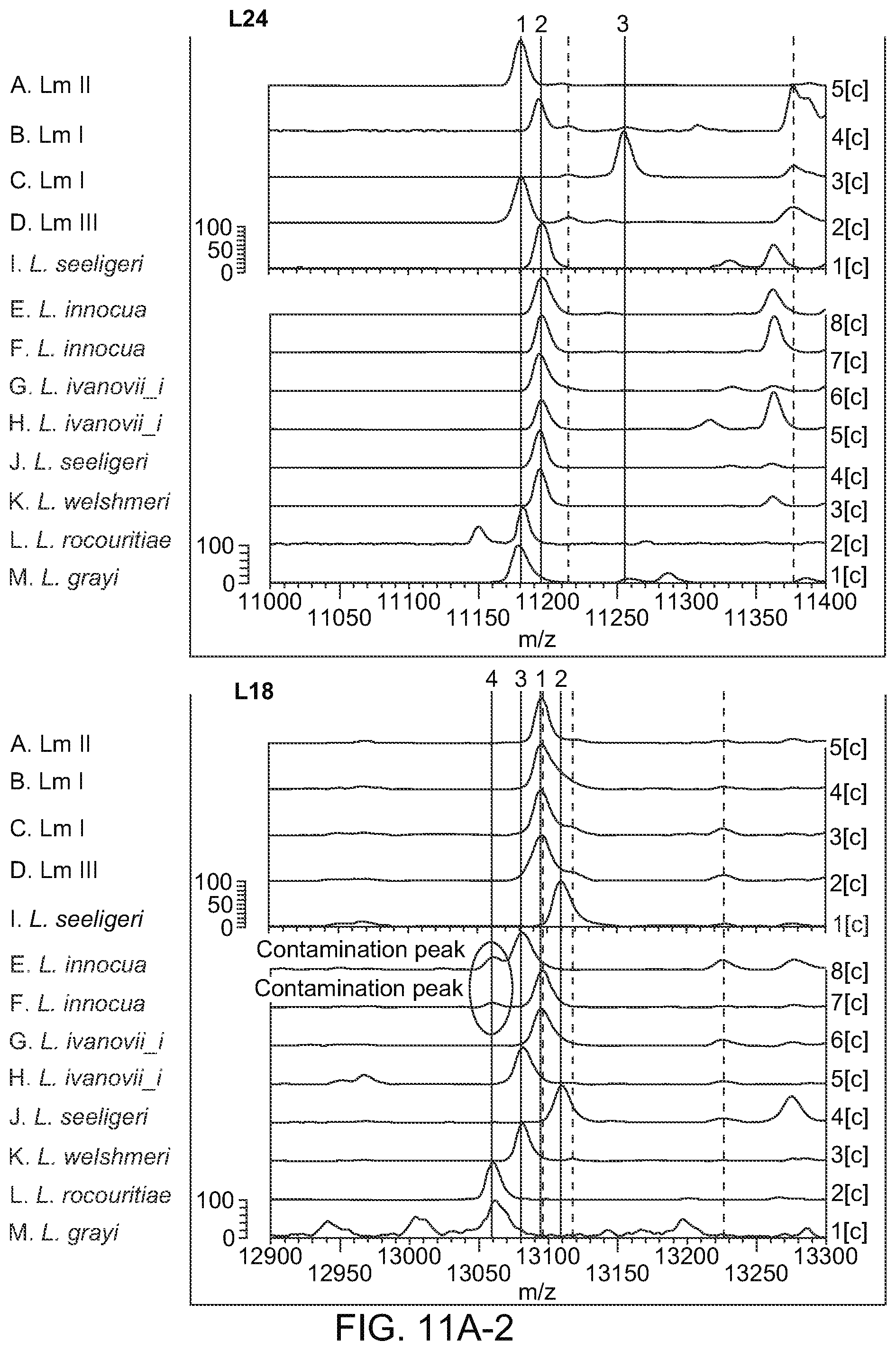 Patent US12092645 Figure 13 – Method for discriminating a microorganism