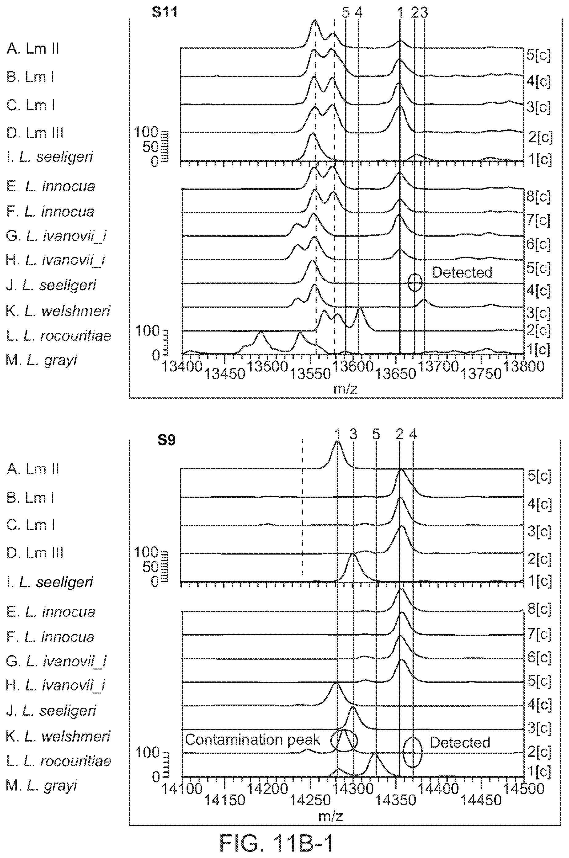 Patent US12092645 Figure 14 – Method for discriminating a microorganism