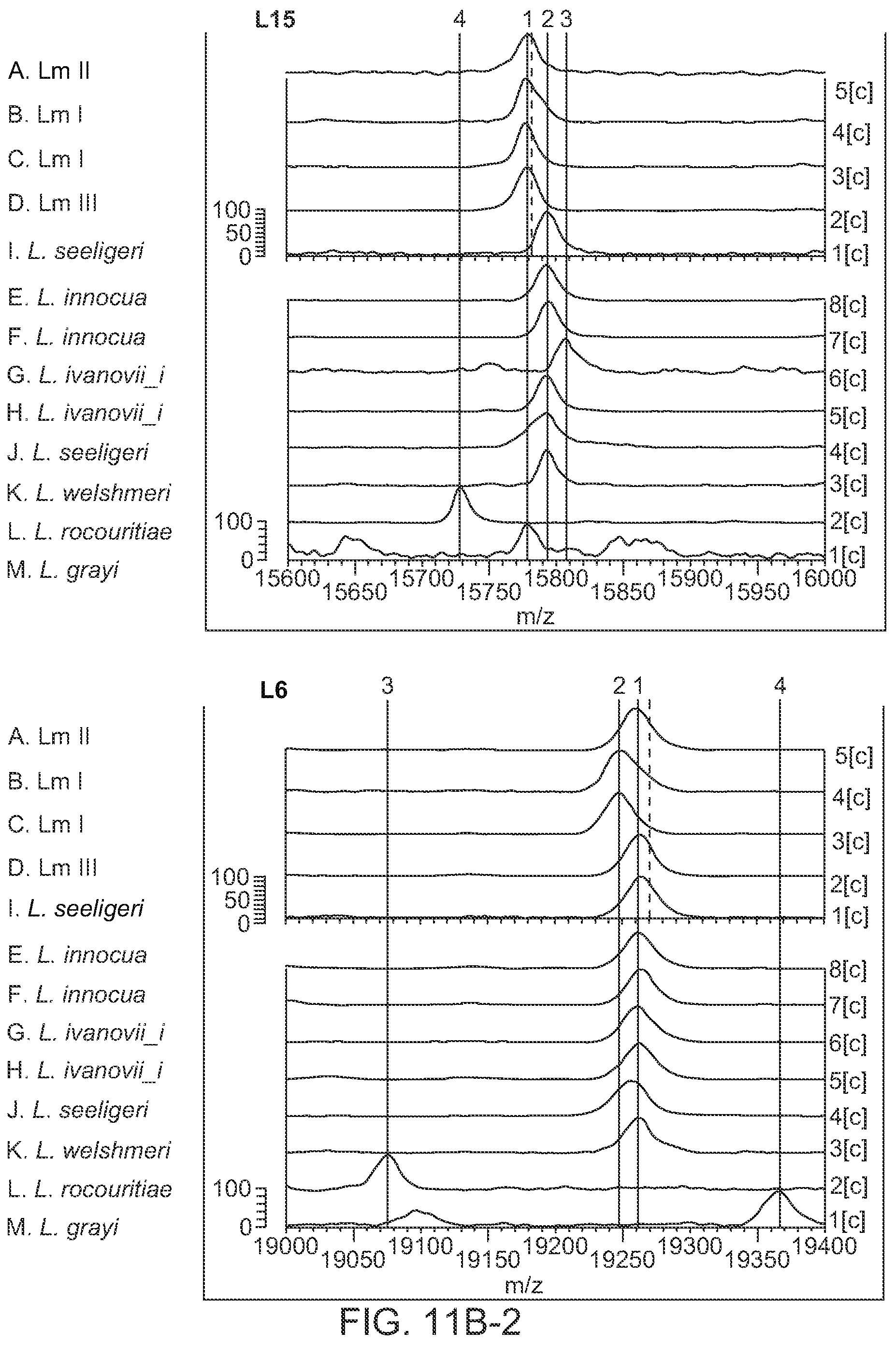 Patent US12092645 Figure 15 – Method for discriminating a microorganism