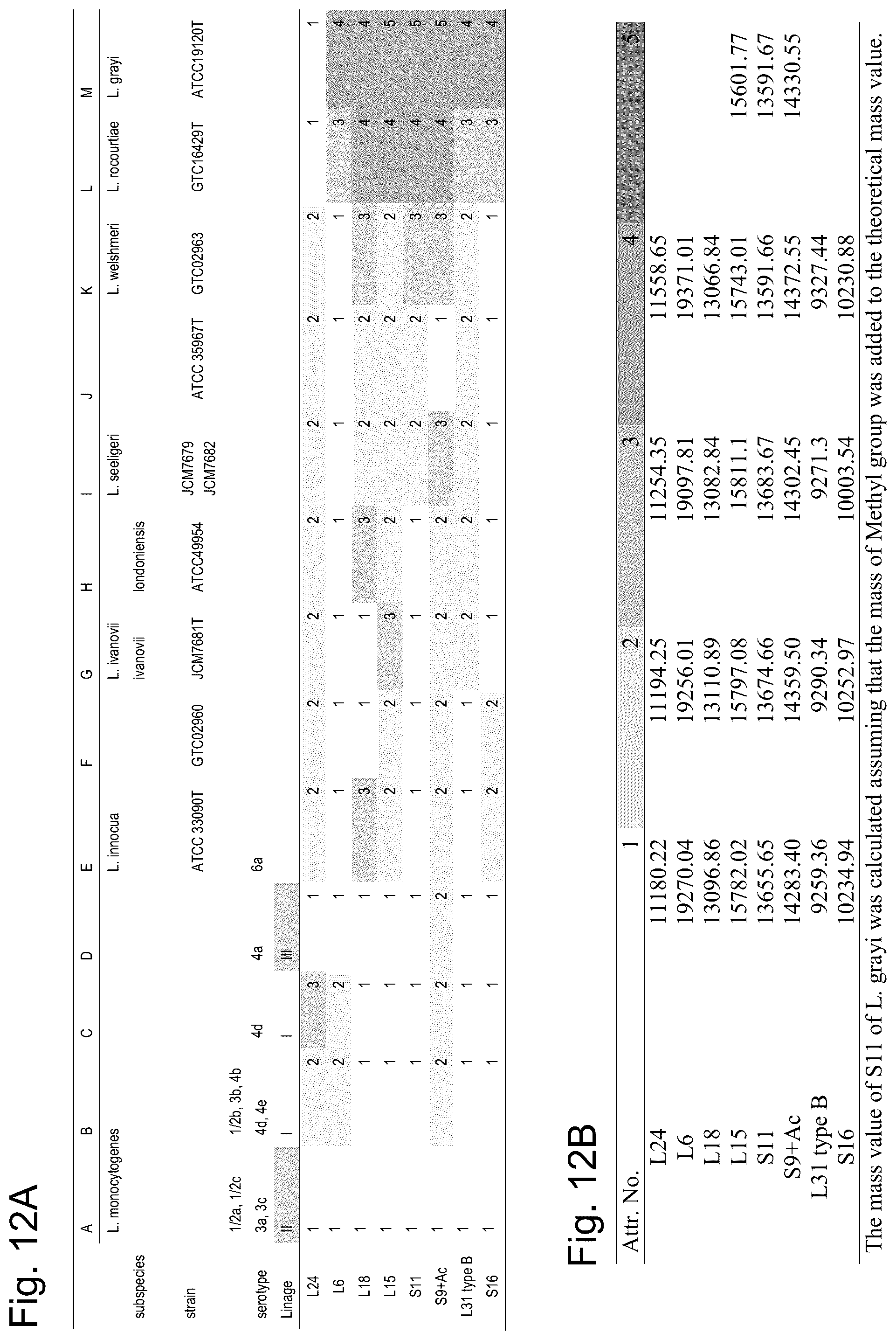 Patent US12092645 Figure 16 – Method for discriminating a microorganism