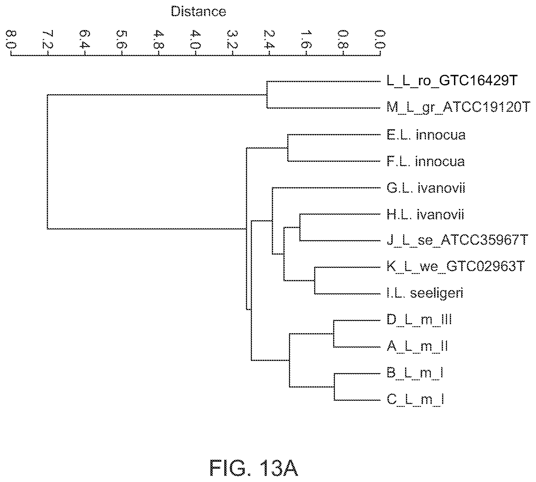 Patent US12092645 Figure 17 – Method for discriminating a microorganism