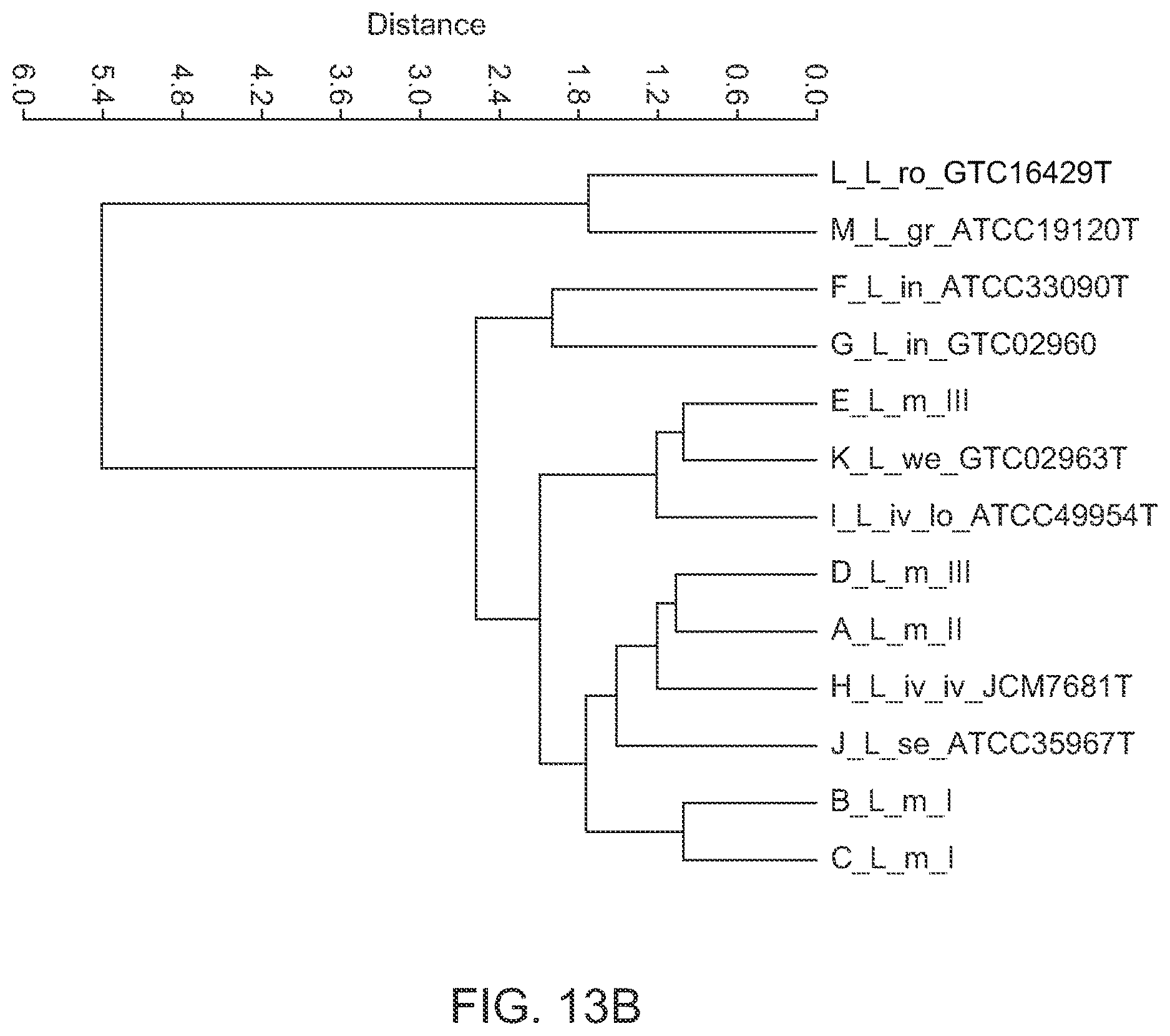 Patent US12092645 Figure 18 – Method for discriminating a microorganism