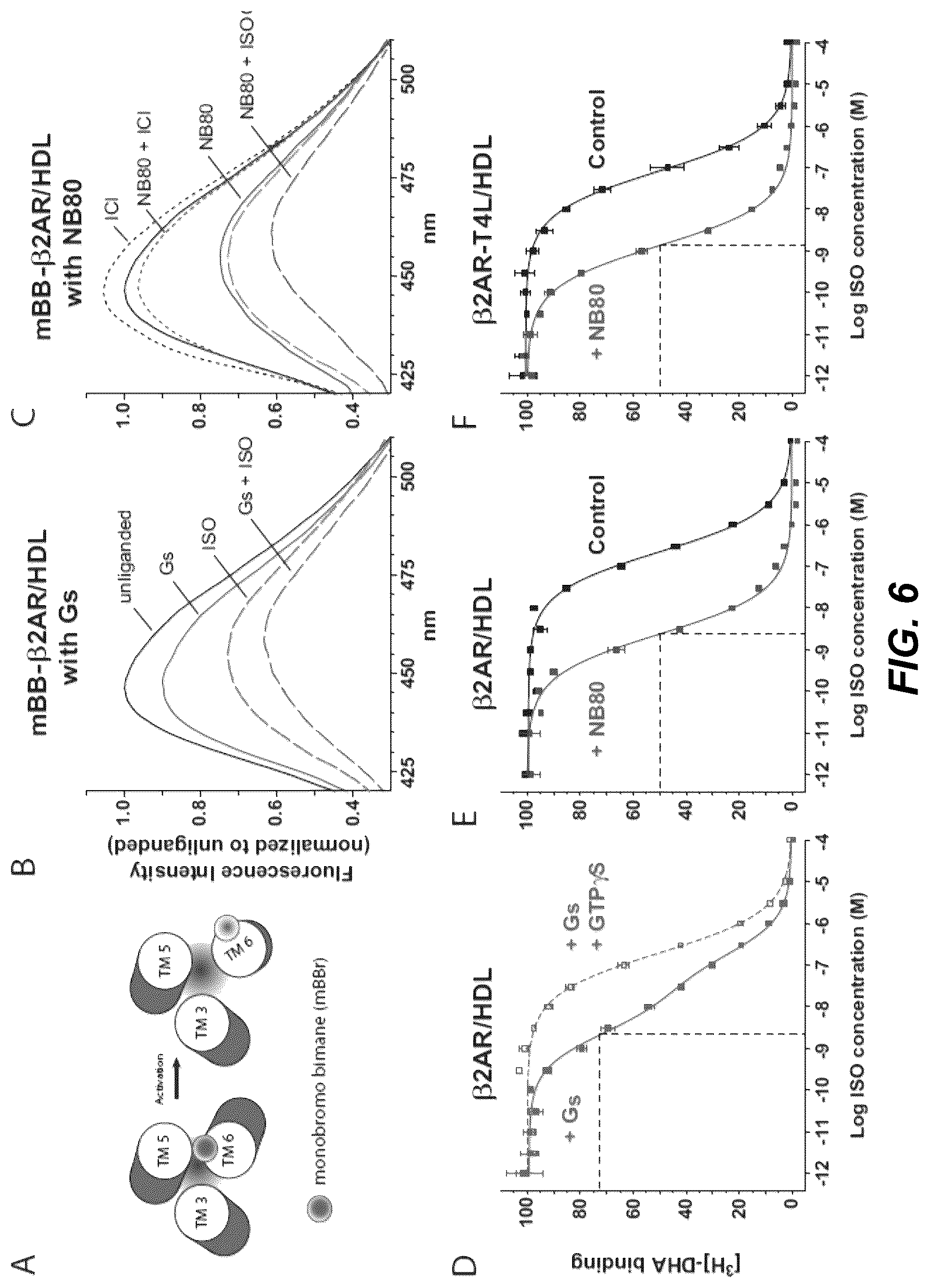 Patent US12092646 Figure 12 – Protein binding domains stabilizing functional conformational states of GPCRS and uses thereof