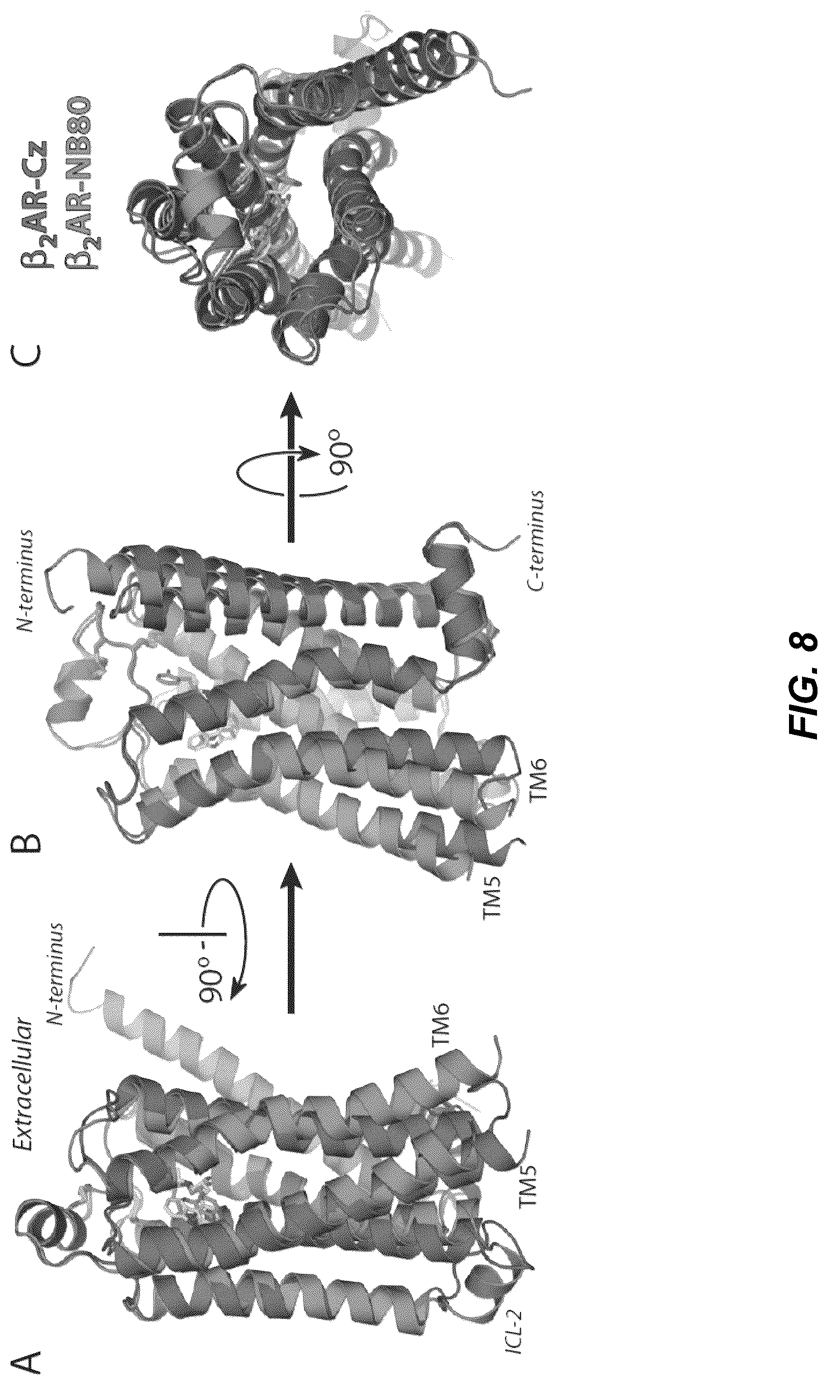 Patent US12092646 Figure 14 – Protein binding domains stabilizing functional conformational states of GPCRS and uses thereof