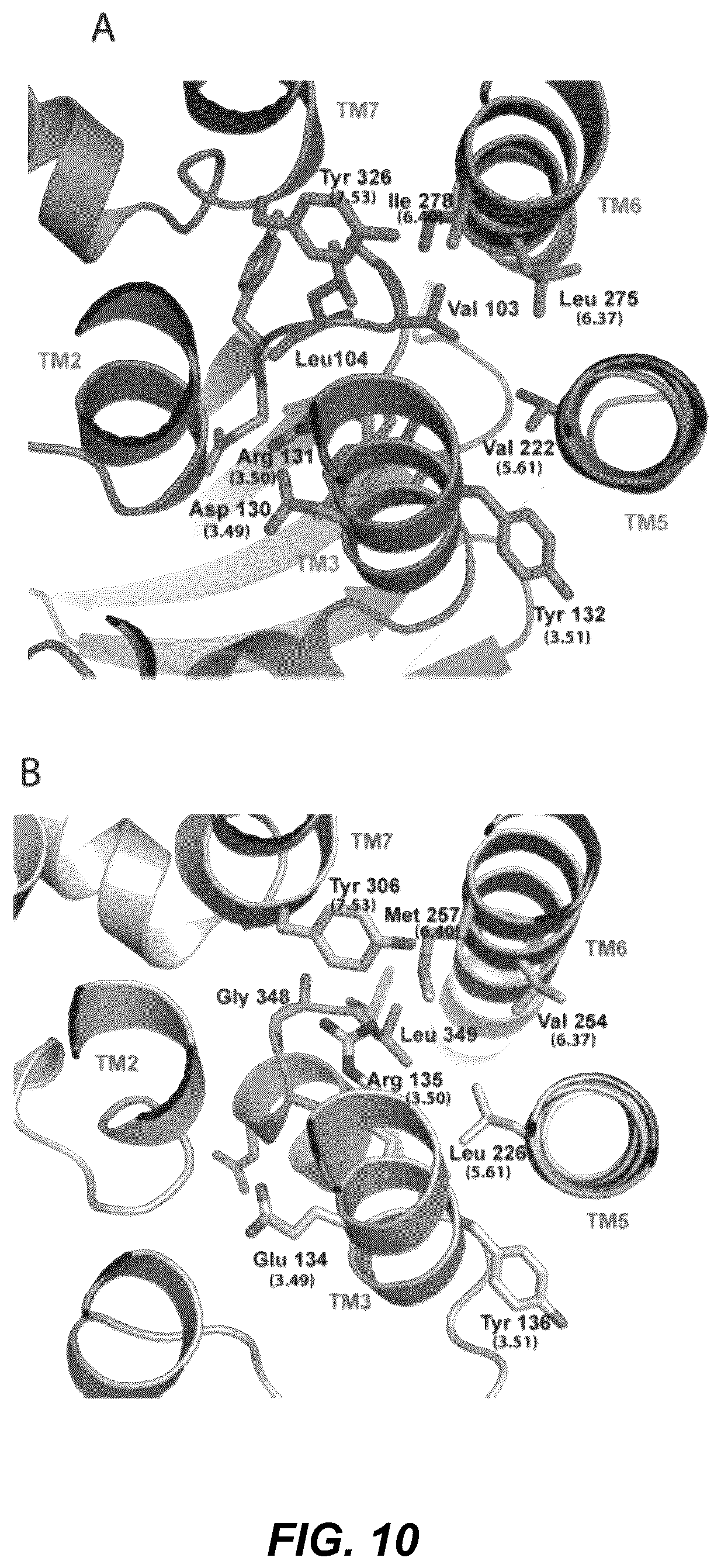 Patent US12092646 Figure 16 – Protein binding domains stabilizing functional conformational states of GPCRS and uses thereof