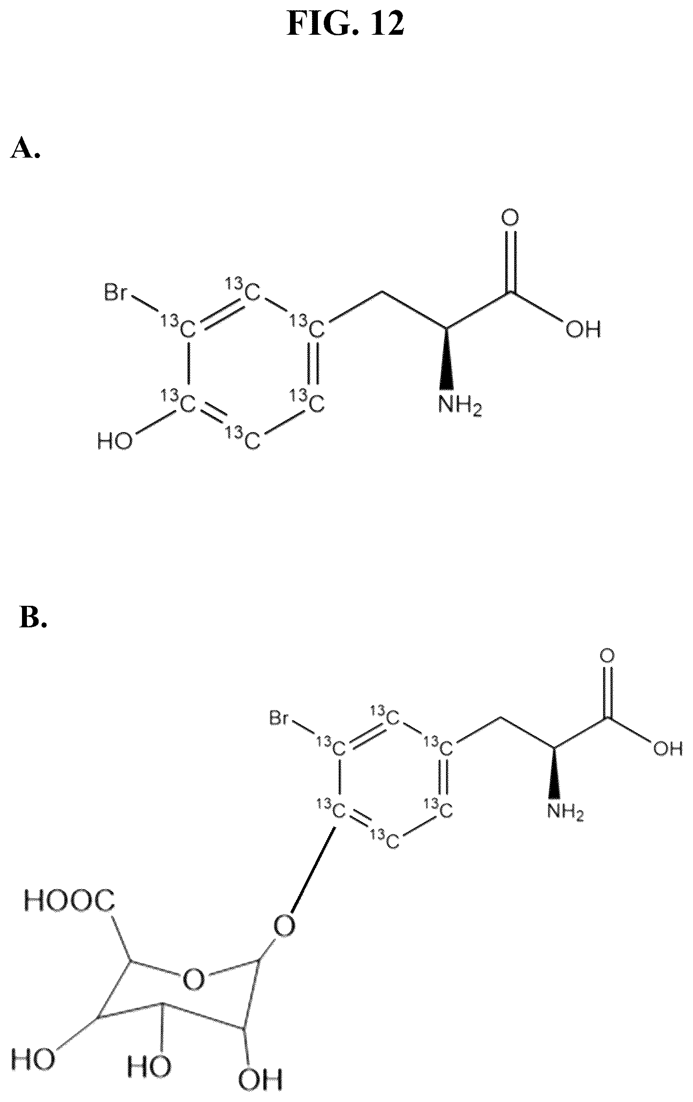 Patent US12092648 Figure 14 – Detection of glucuronidated and 3-bromotyrosine
