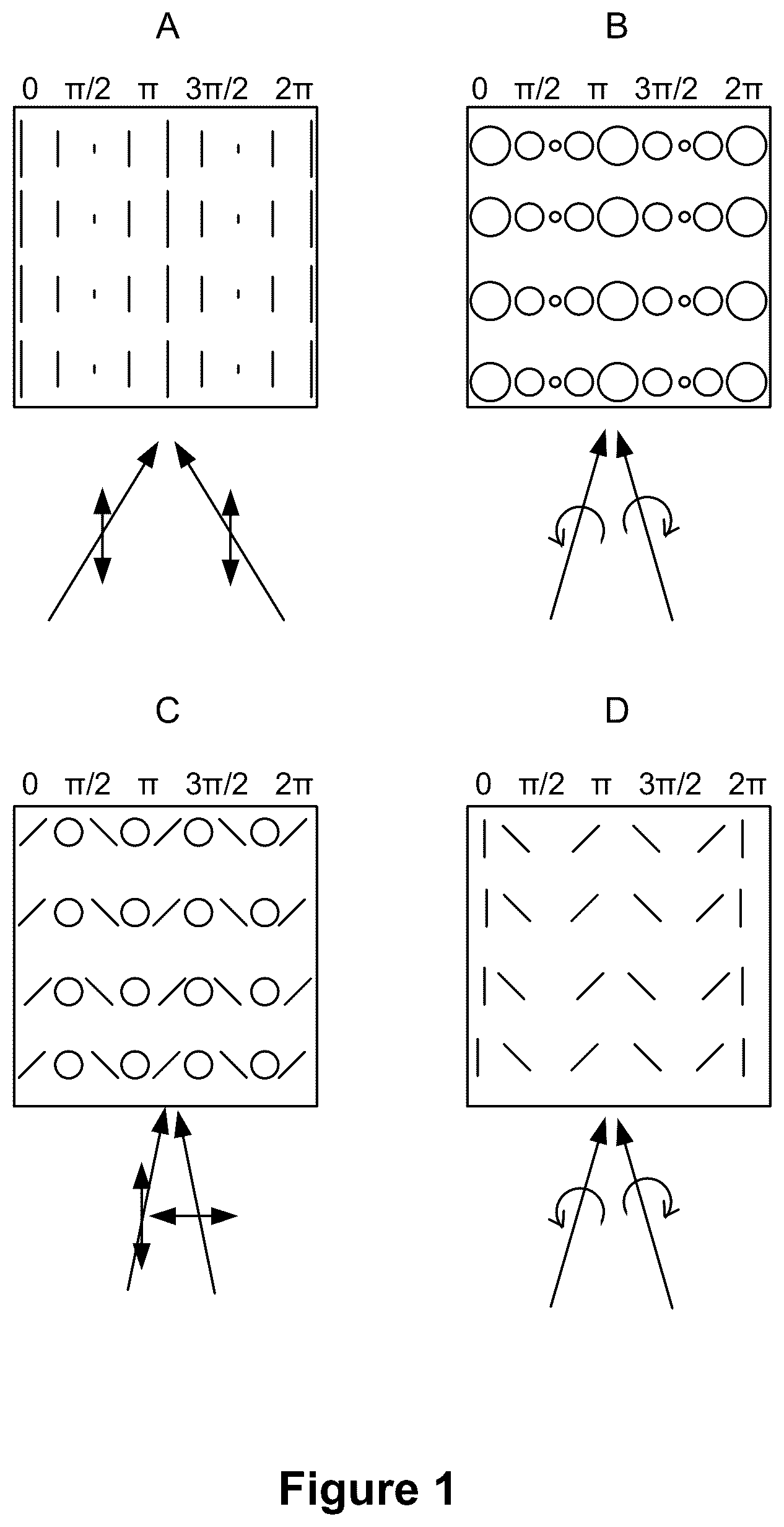 Patent US12092850 Figure 1 – Patterned anisotropic films and optical elements therewith