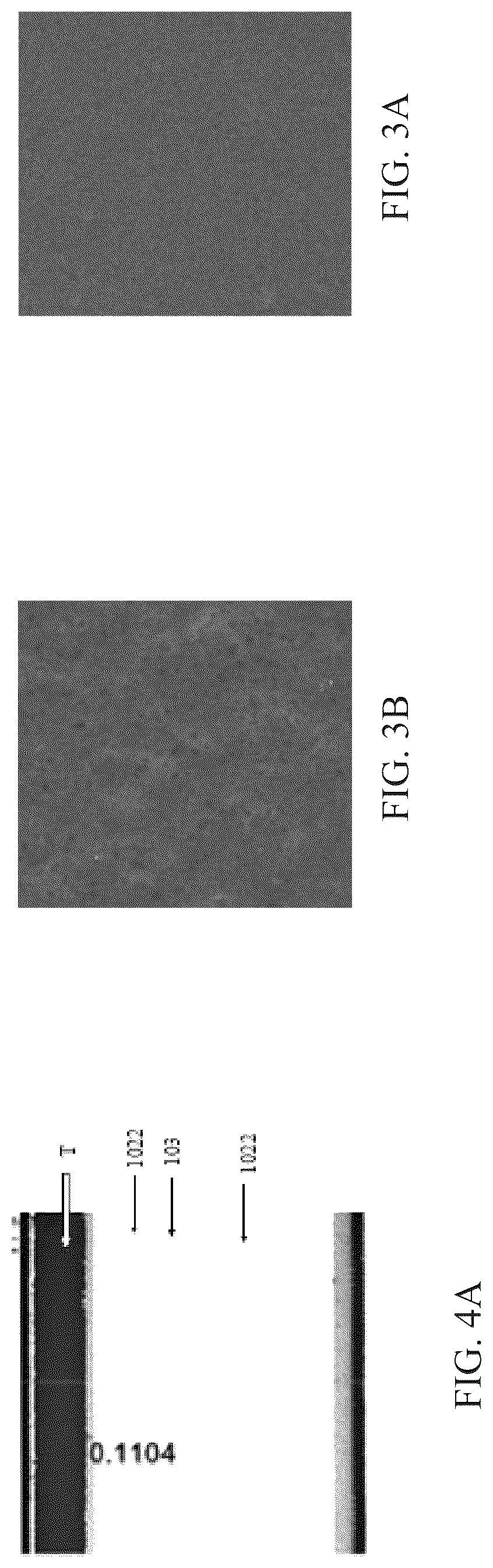 Patent US12092928 Figure 4 – Display module and display apparatus
