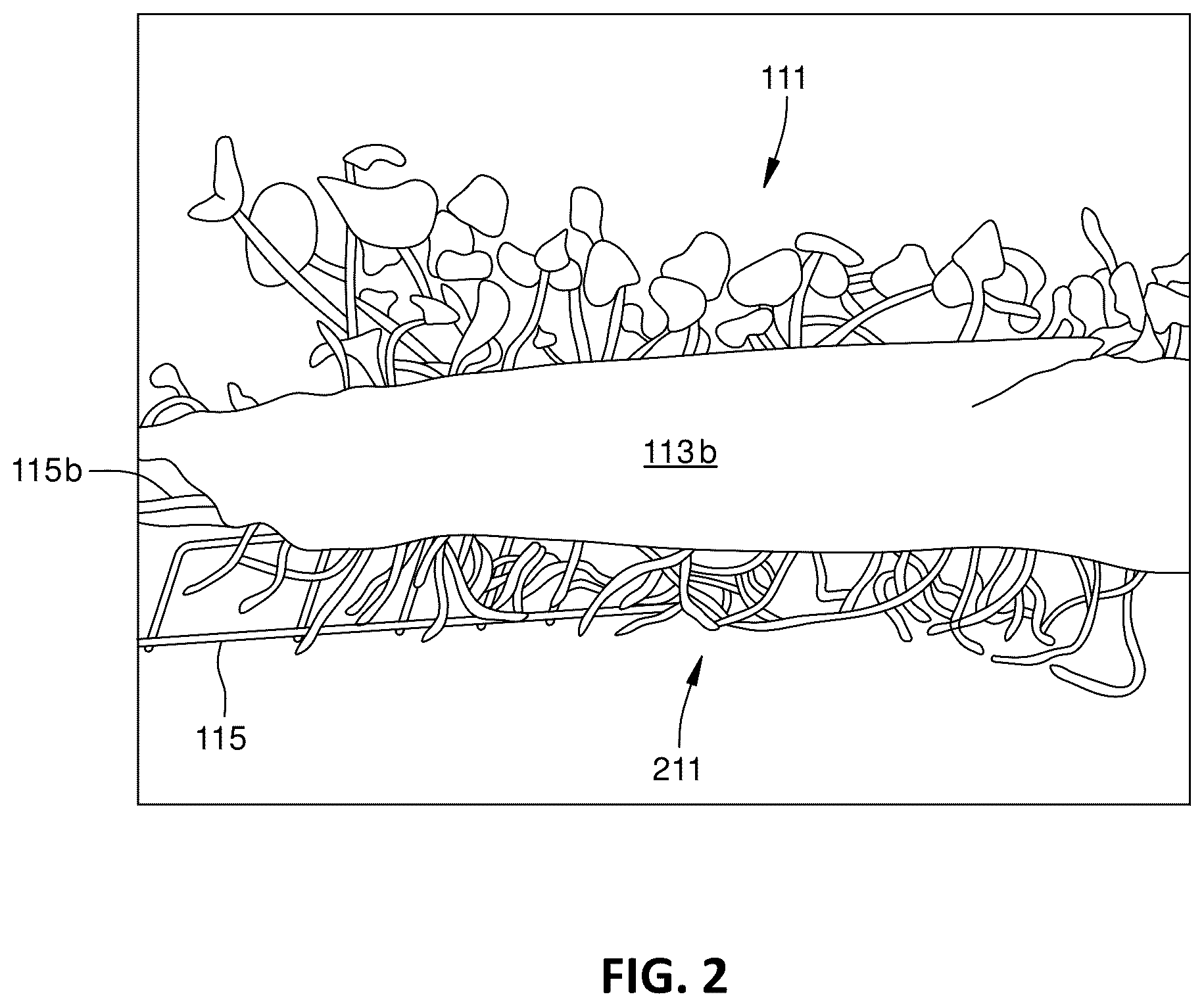 Patent US12096725 Figure 2 – Gel-based horticultural substrate