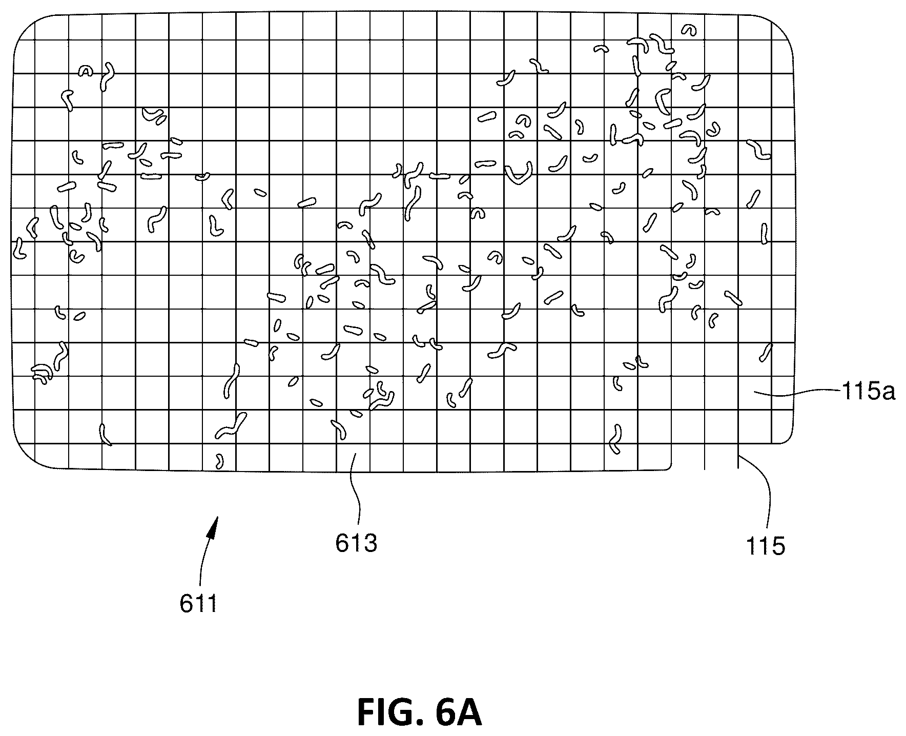 Patent US12096725 Figure 6 – Gel-based horticultural substrate