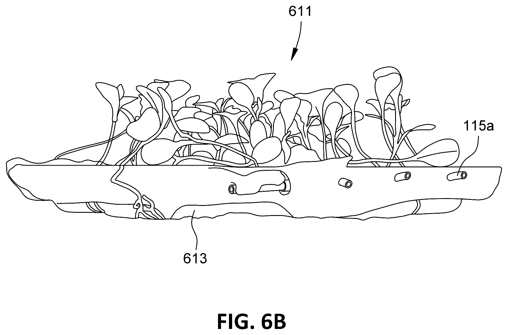 Patent US12096725 Figure 7 – Gel-based horticultural substrate