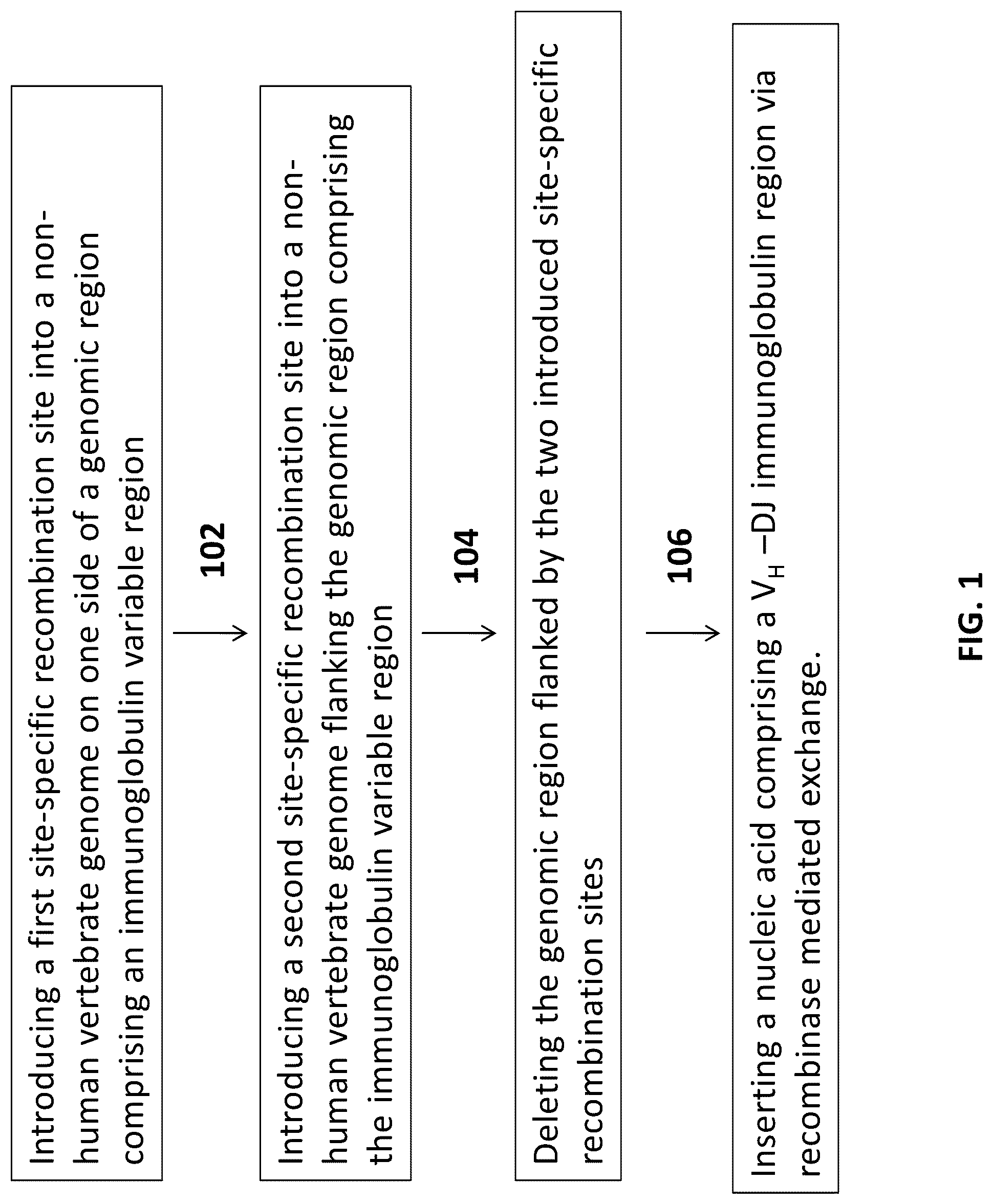 Patent US12096753 — Transgenic animals and methods of use — Figure 1