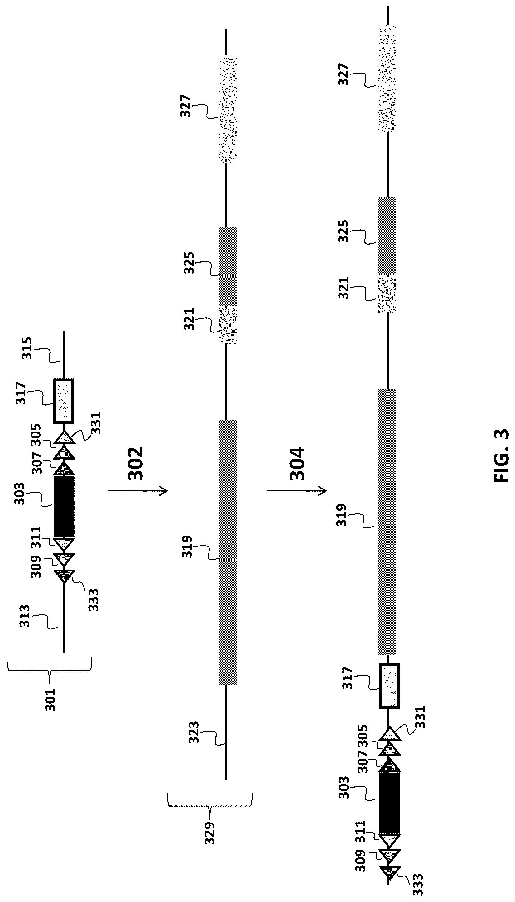 Patent US12096753 Figure 3 – Transgenic animals and methods of use