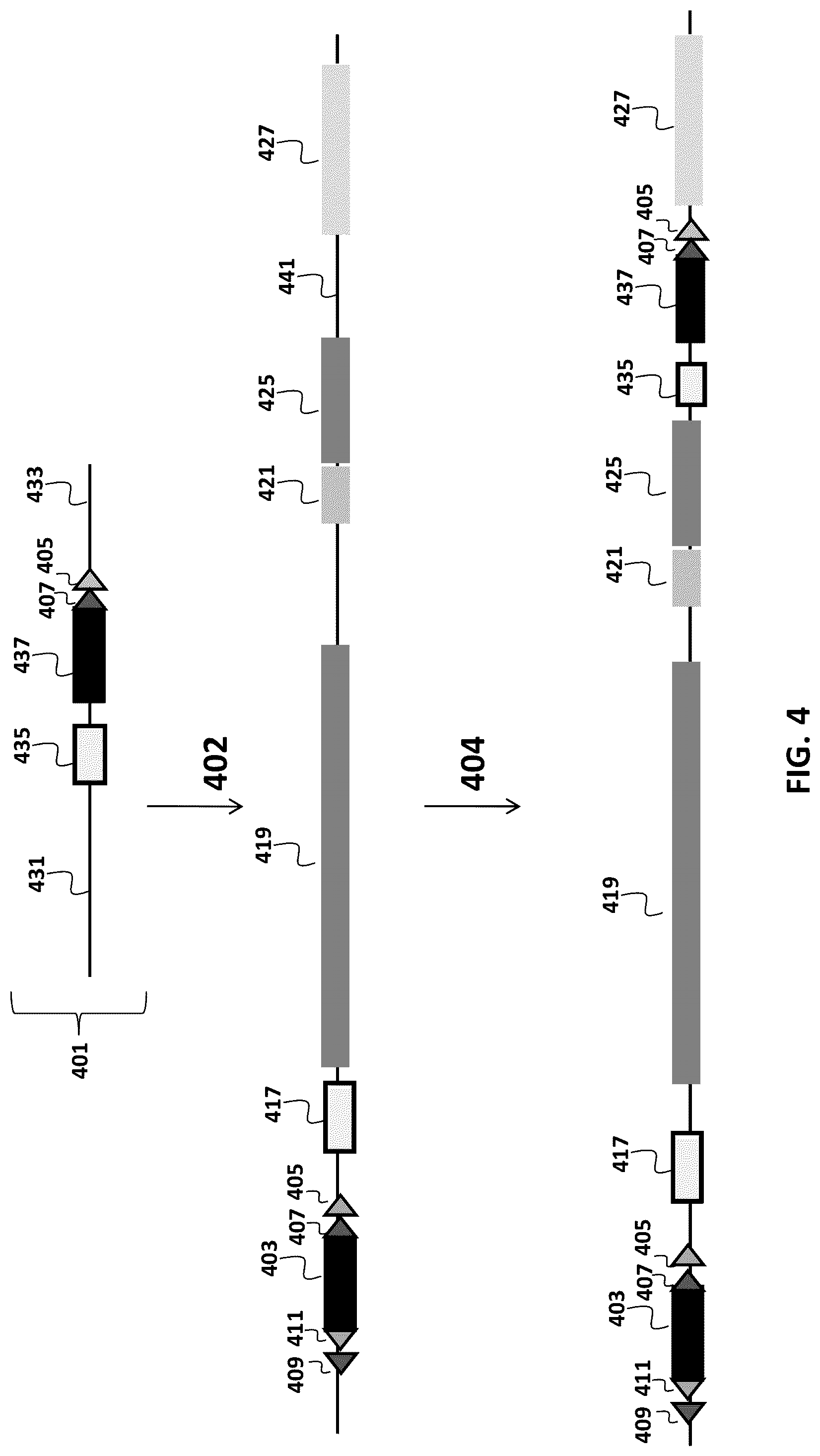 Patent US12096753 Figure 4 – Transgenic animals and methods of use