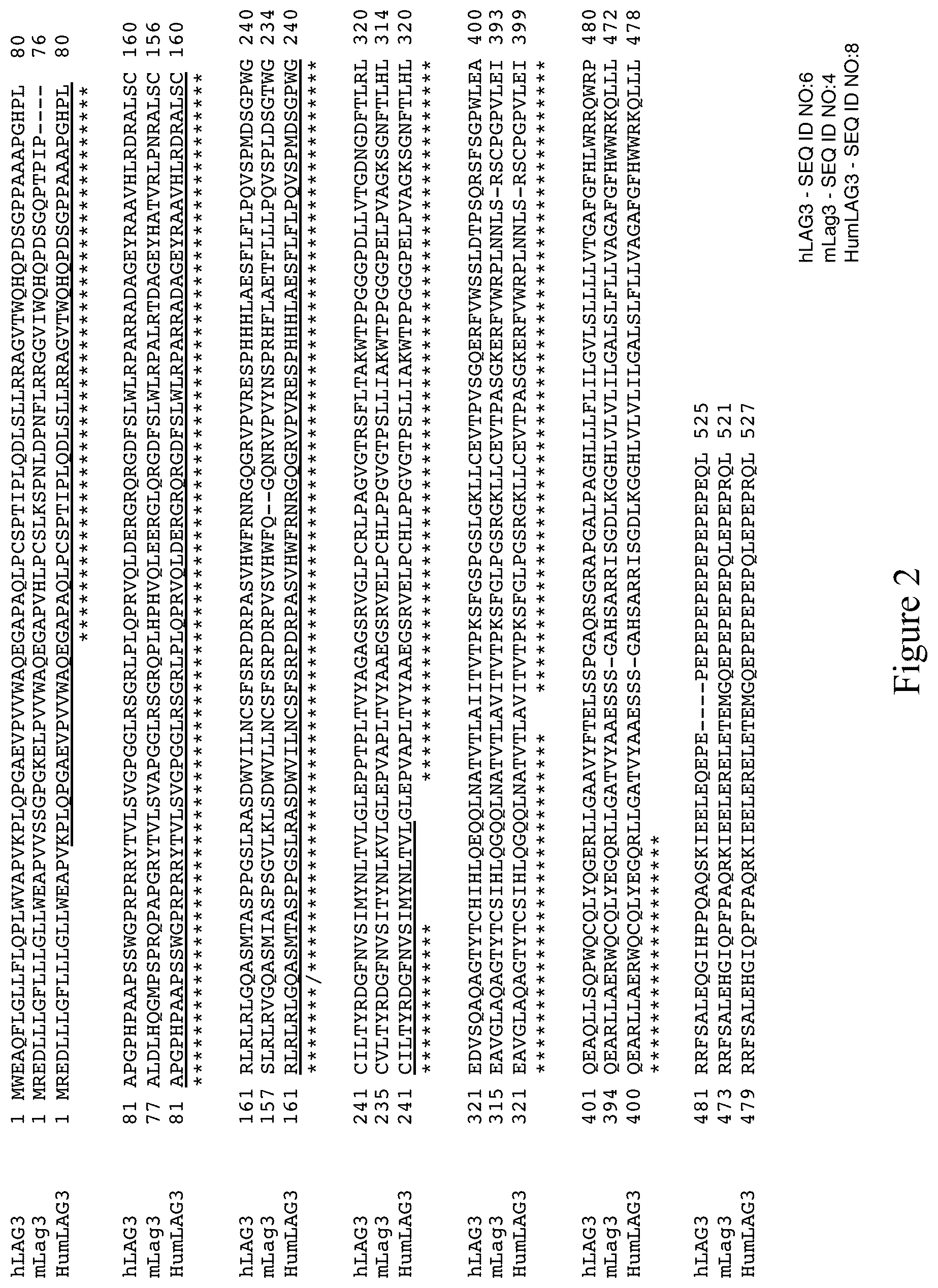 Patent US12096754 Figure 2 – Non-human animals having a humanized lymphocyte-activation gene 3