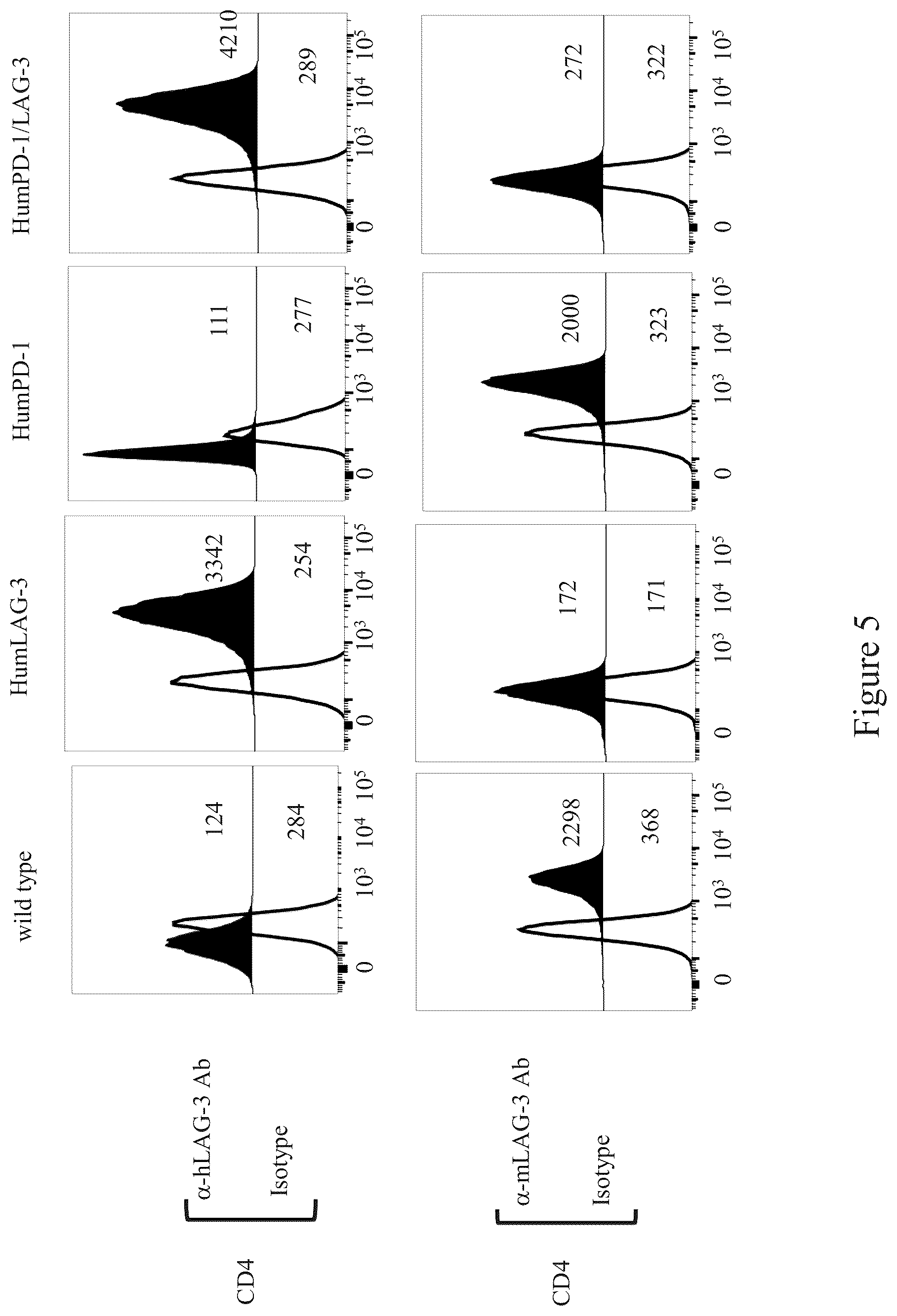 Patent US12096754 Figure 5 – Non-human animals having a humanized lymphocyte-activation gene 3