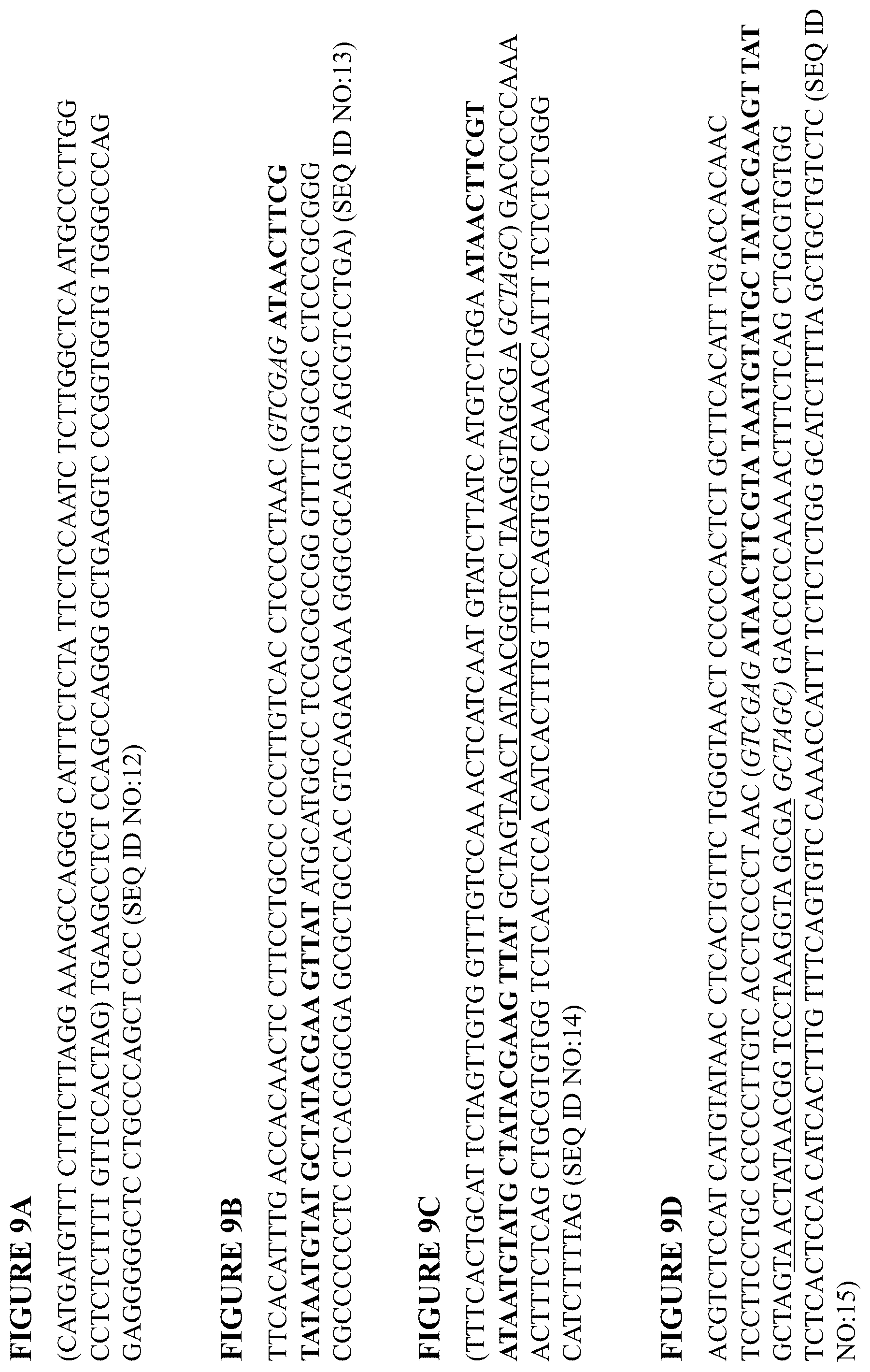 Patent US12096754 Figure 18 – Non-human animals having a humanized lymphocyte-activation gene 3