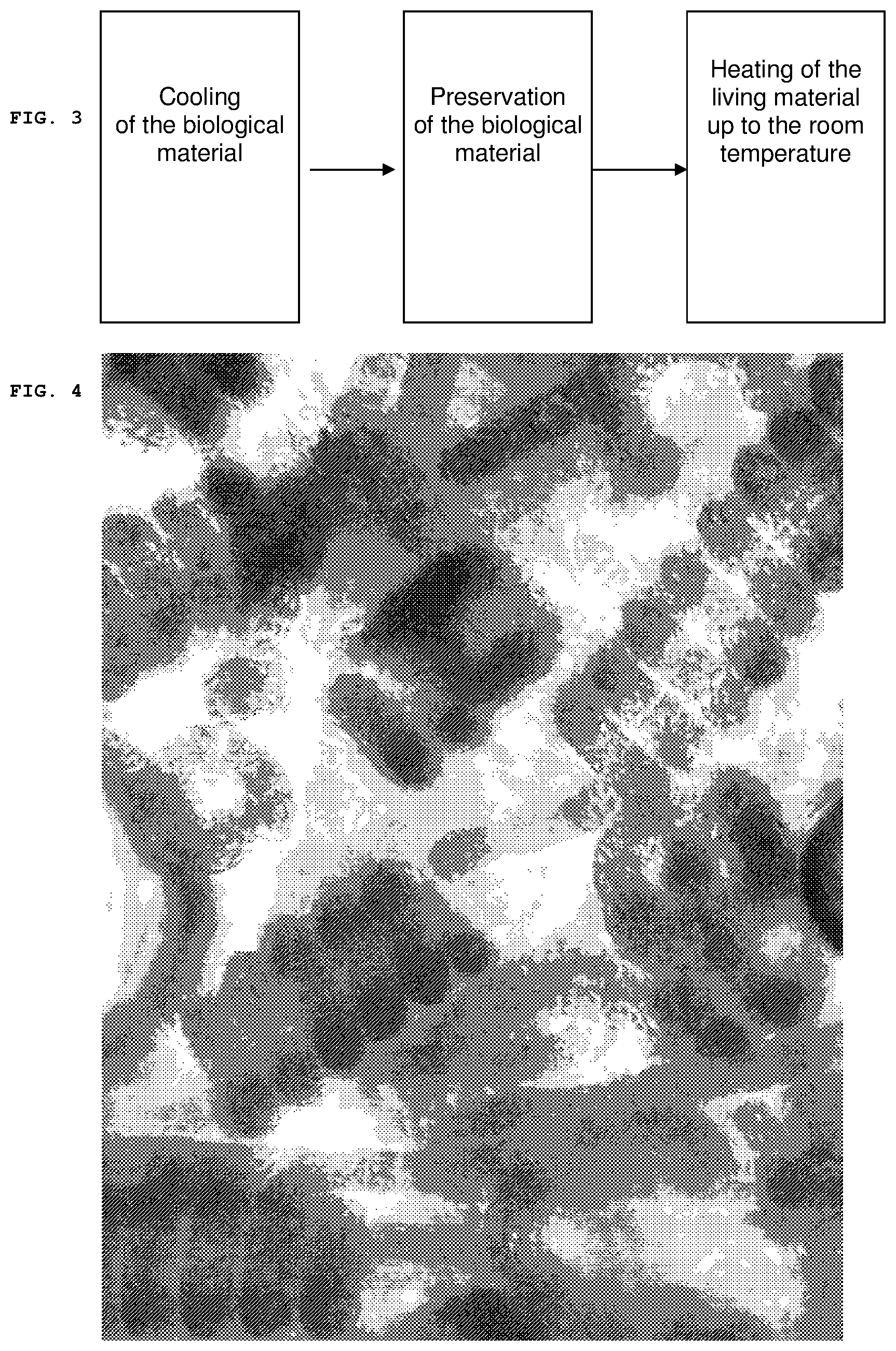 Patent US12096766 Figure 3 – Process for cooling a biological material and the storage thereof