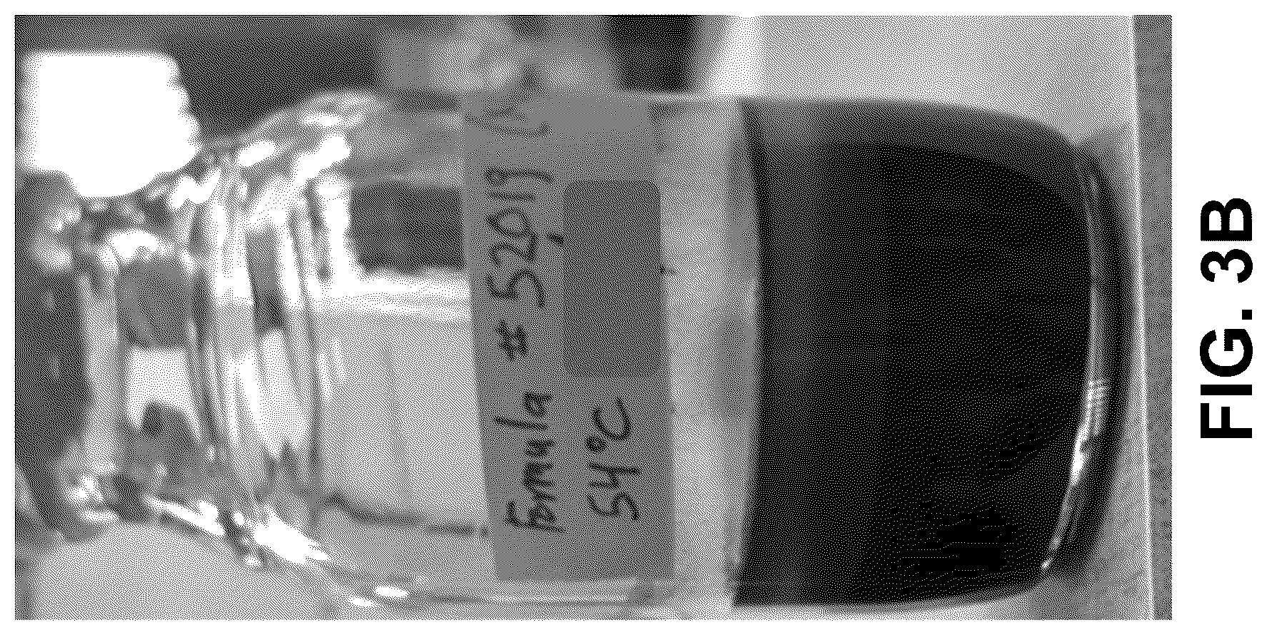 Patent US12096775 Figure 8 – Method of stable formulation of microbial and microbe derived products and use of same