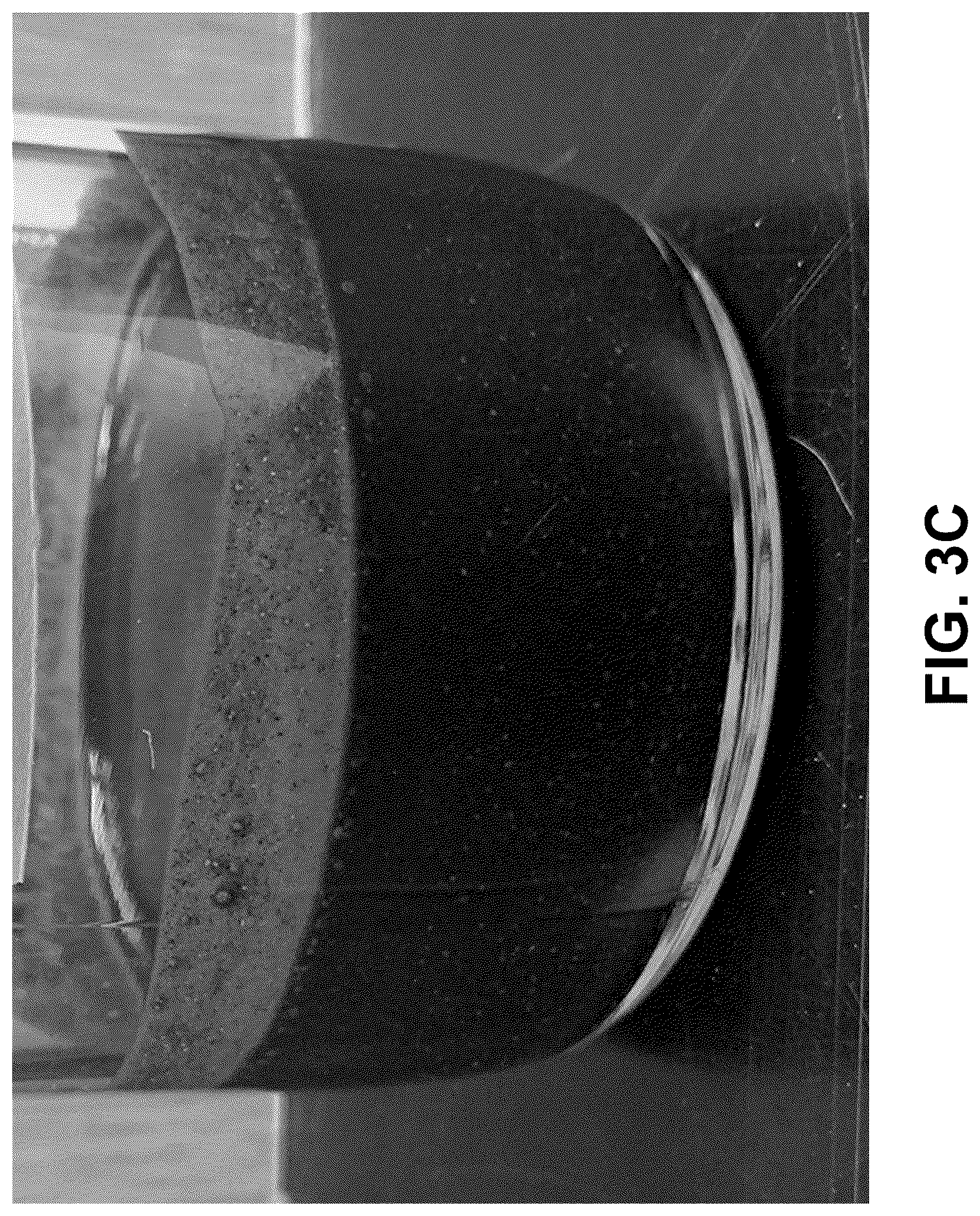 Patent US12096775 Figure 9 – Method of stable formulation of microbial and microbe derived products and use of same