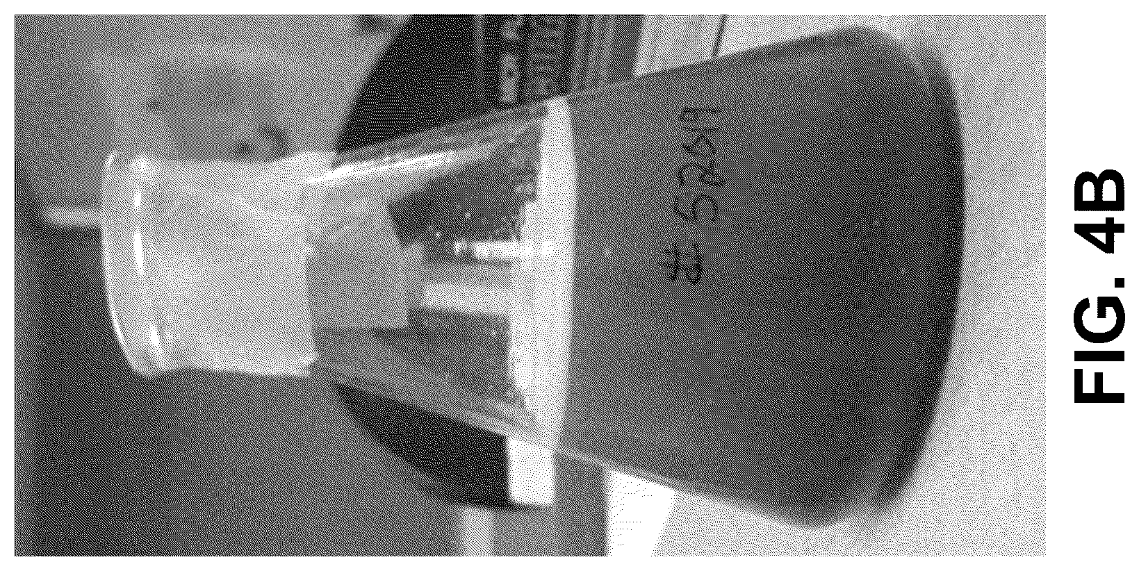 Patent US12096775 Figure 11 – Method of stable formulation of microbial and microbe derived products and use of same