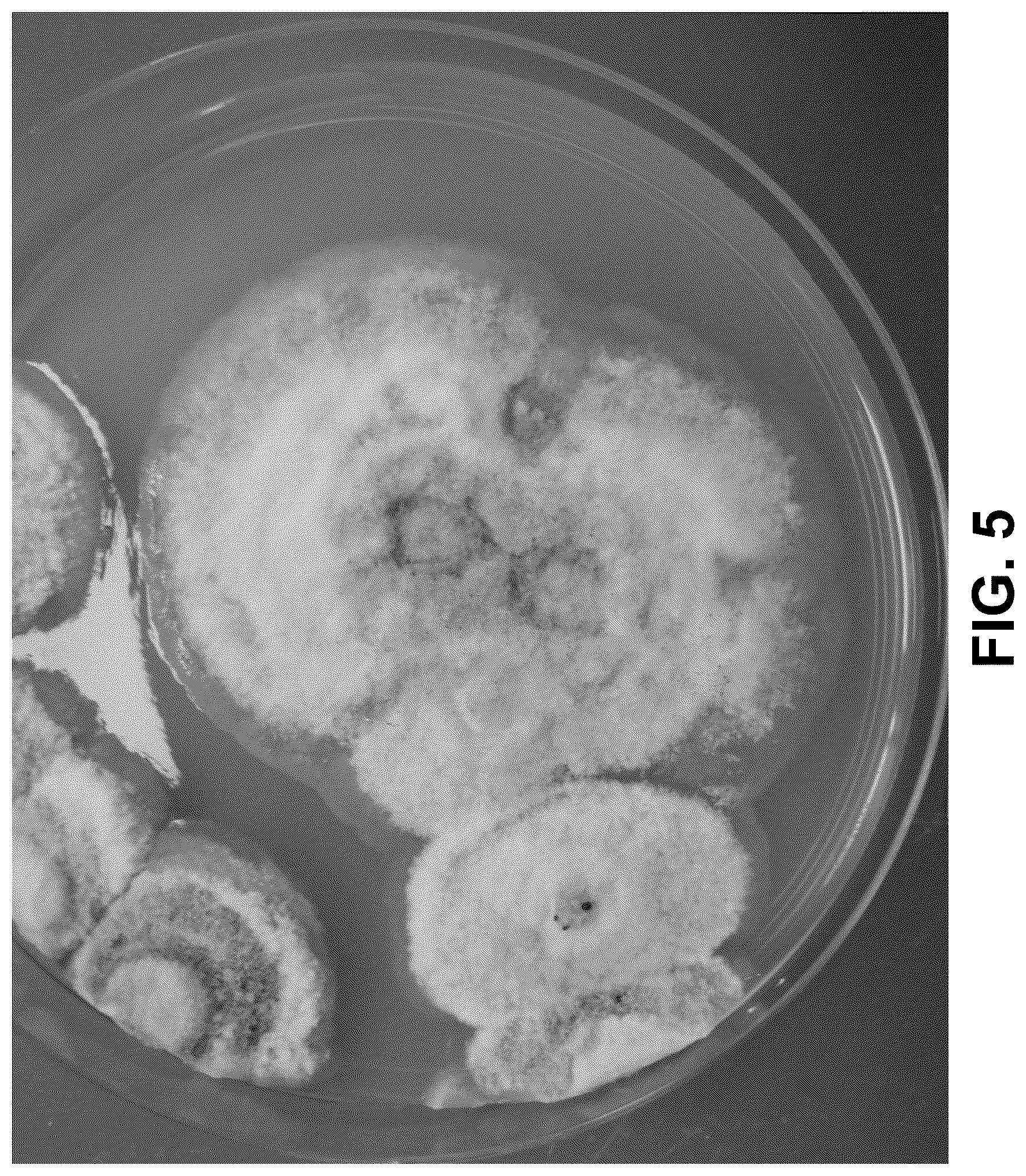 Patent US12096775 Figure 13 – Method of stable formulation of microbial and microbe derived products and use of same