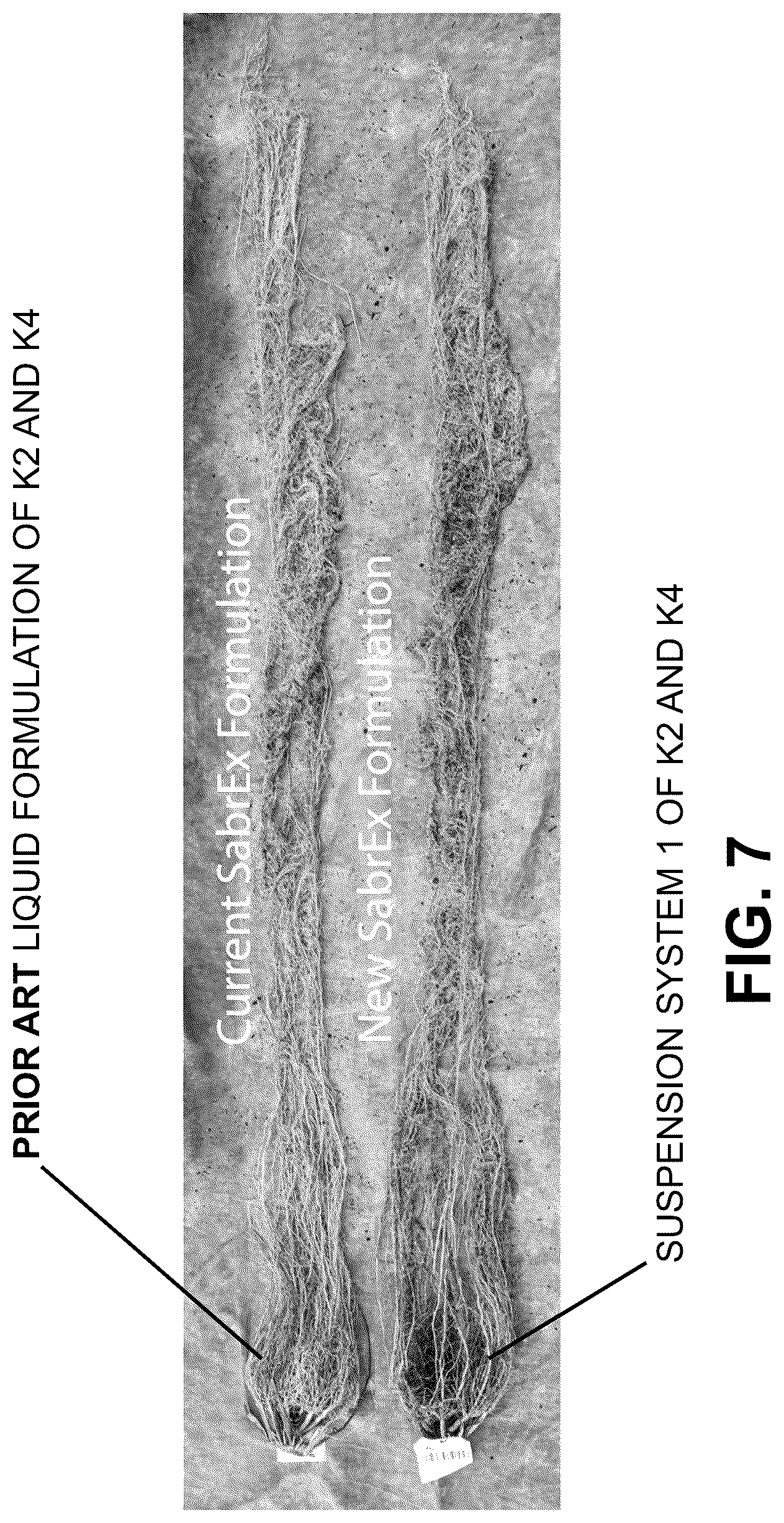 Patent US12096775 Figure 15 – Method of stable formulation of microbial and microbe derived products and use of same