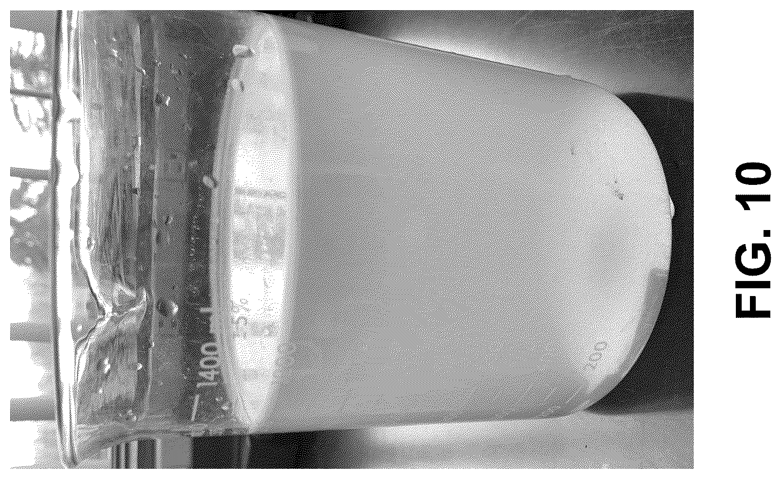 Patent US12096775 Figure 18 – Method of stable formulation of microbial and microbe derived products and use of same