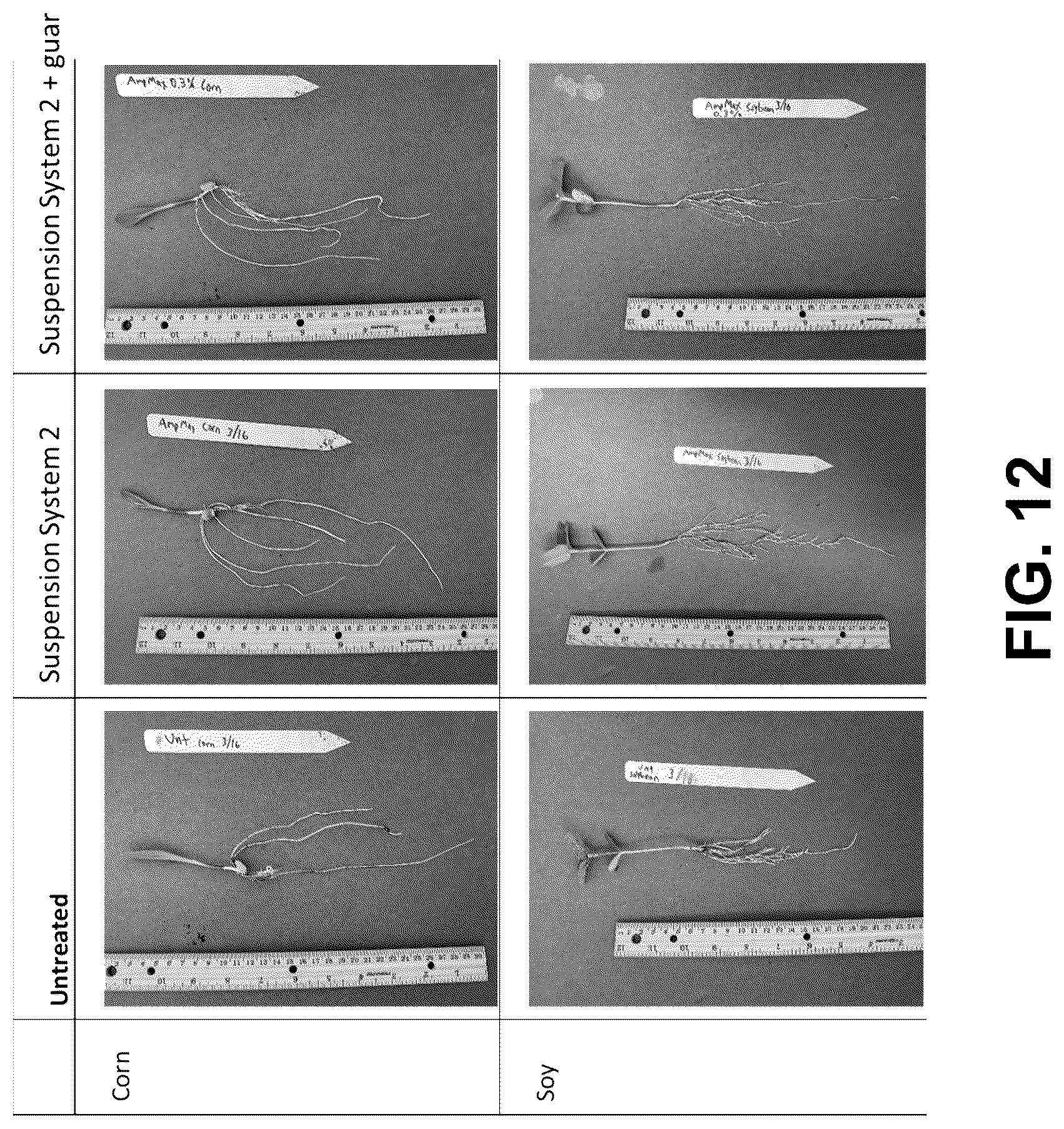 Patent US12096775 Figure 20 – Method of stable formulation of microbial and microbe derived products and use of same