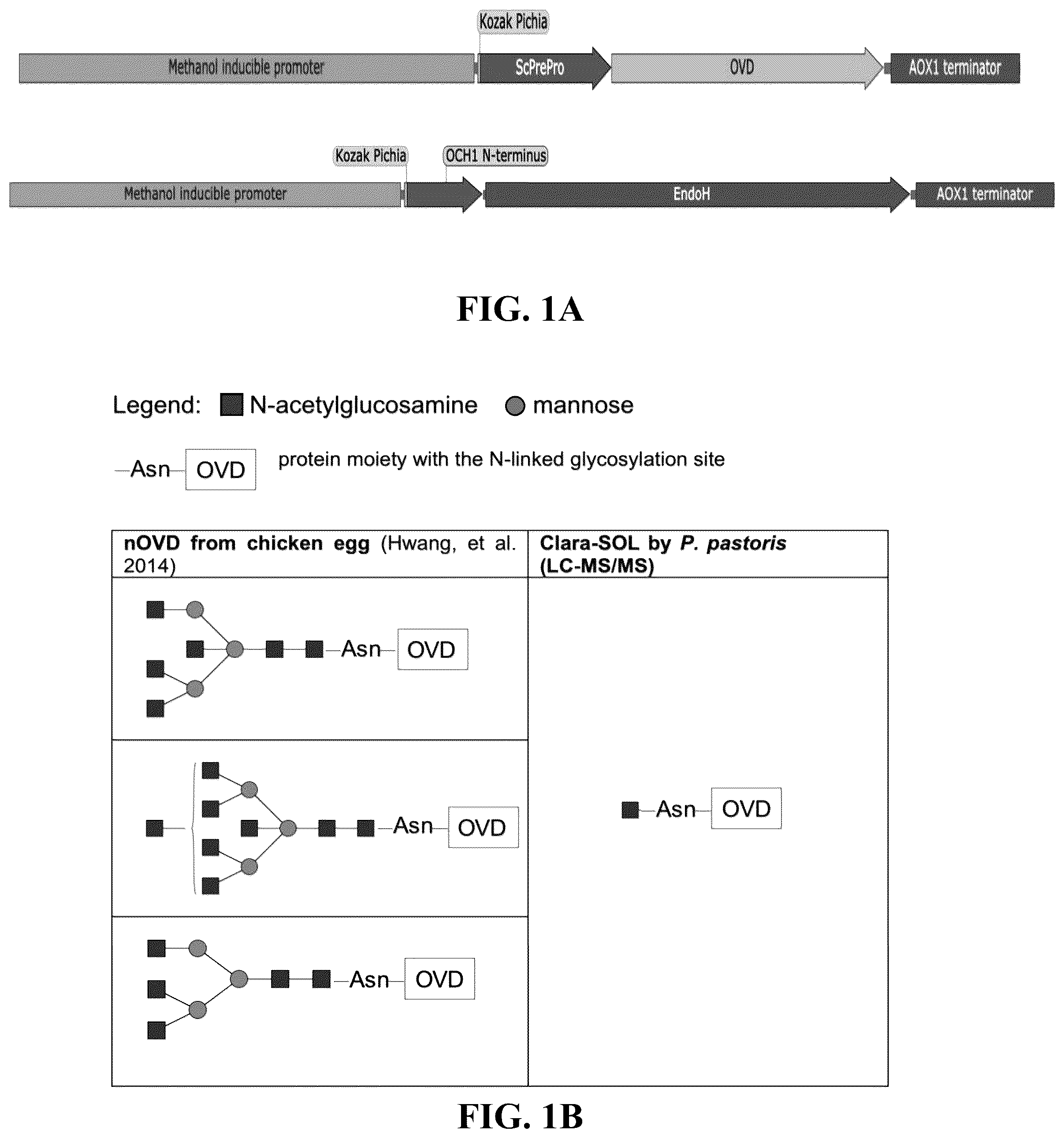 Patent US12096784 Figure 1 – Protein compositions and consumable products thereof