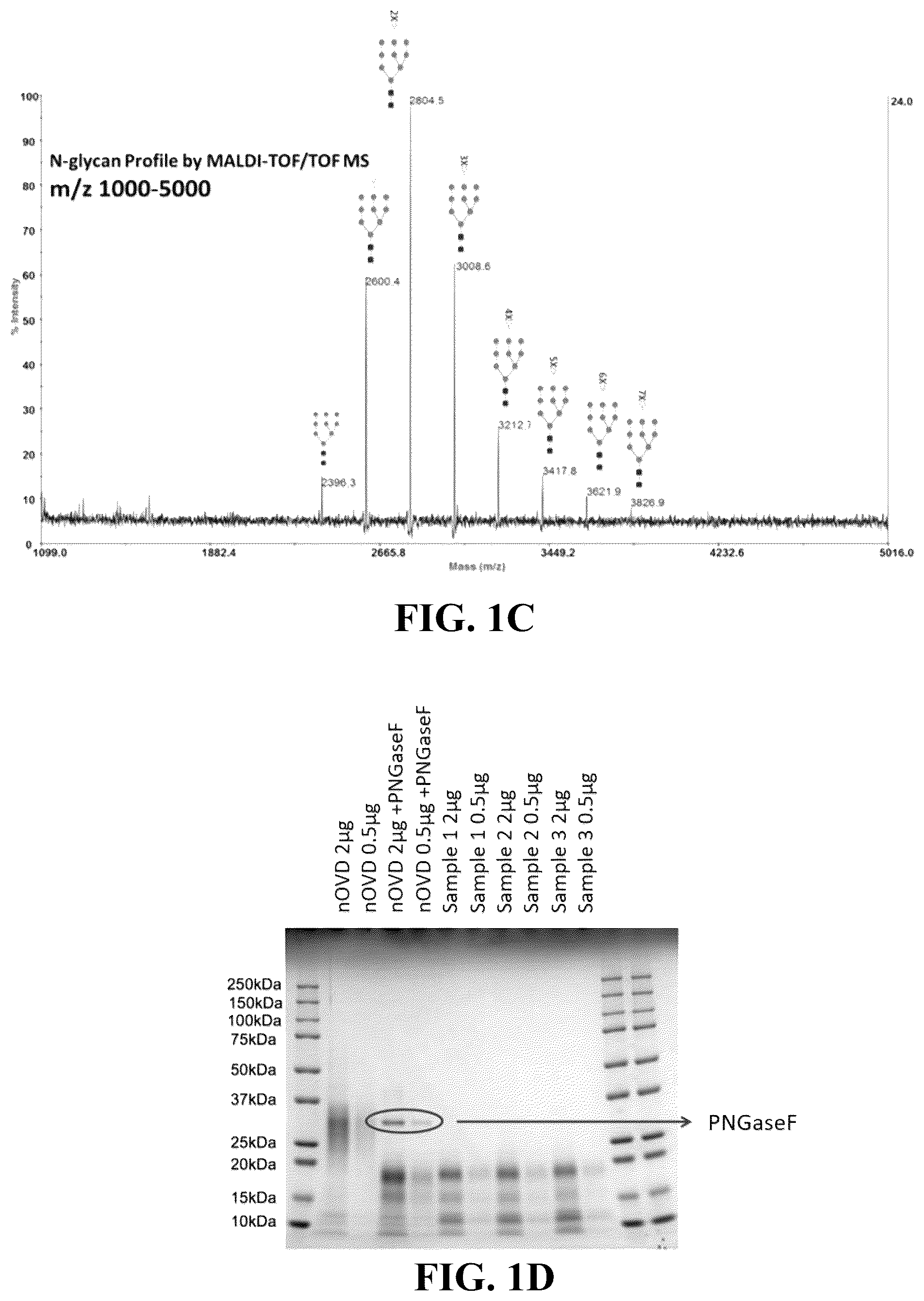 Patent US12096784 Figure 2 – Protein compositions and consumable products thereof