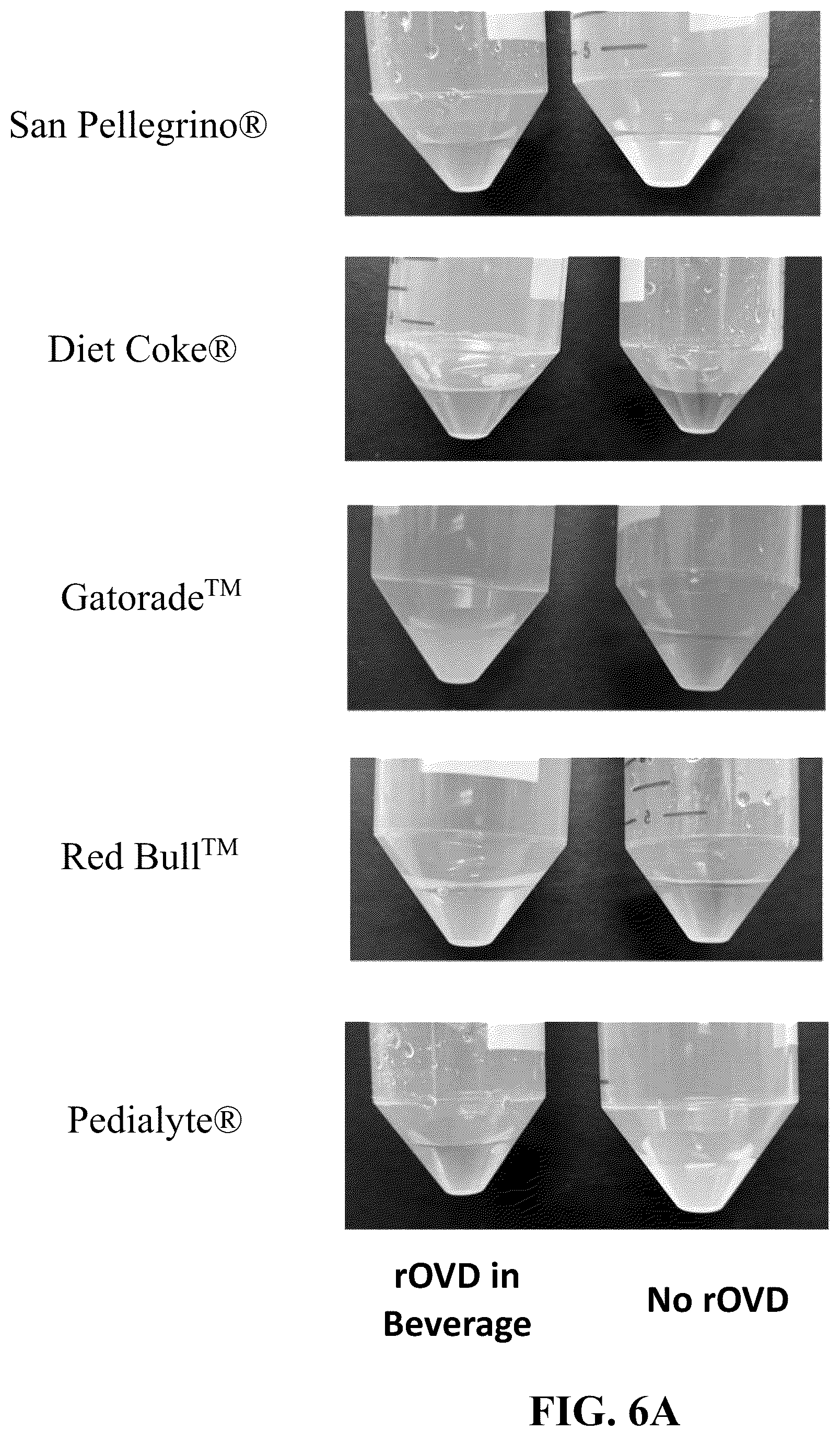 Patent US12096784 Figure 6 – Protein compositions and consumable products thereof