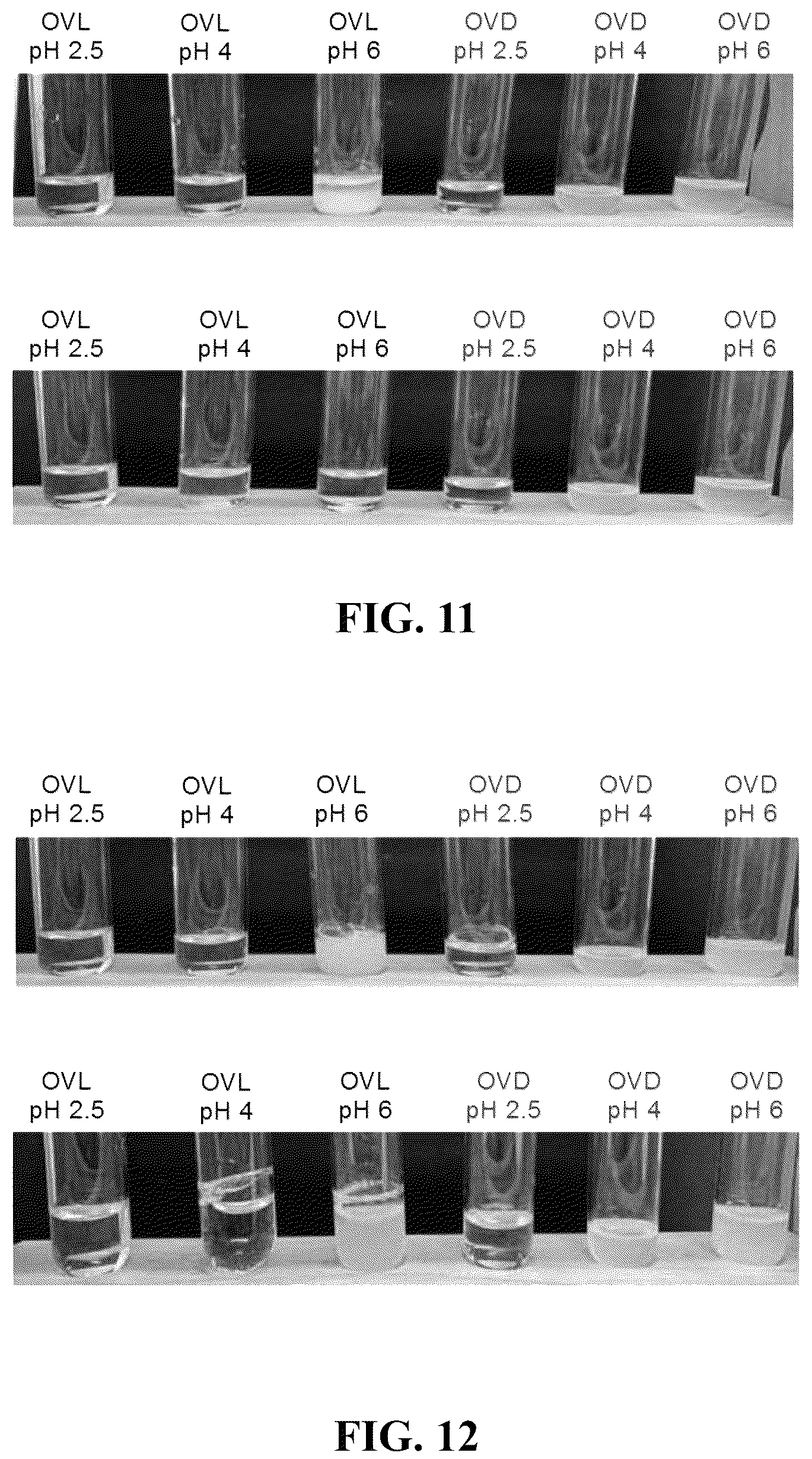 Patent US12096784 Figure 10 – Protein compositions and consumable products thereof