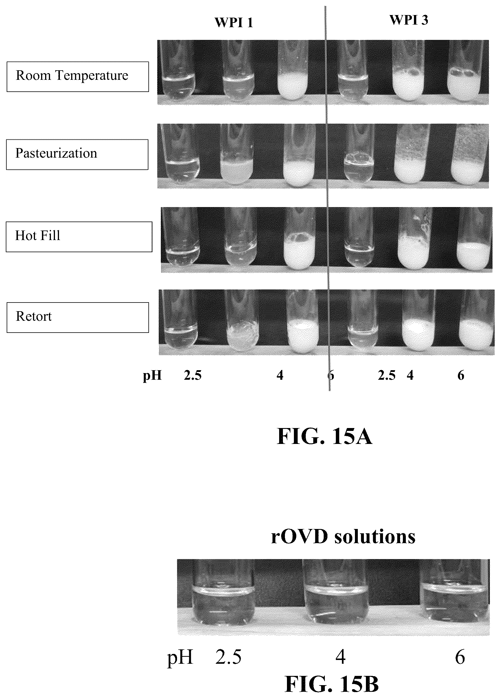 Patent US12096784 Figure 12 – Protein compositions and consumable products thereof