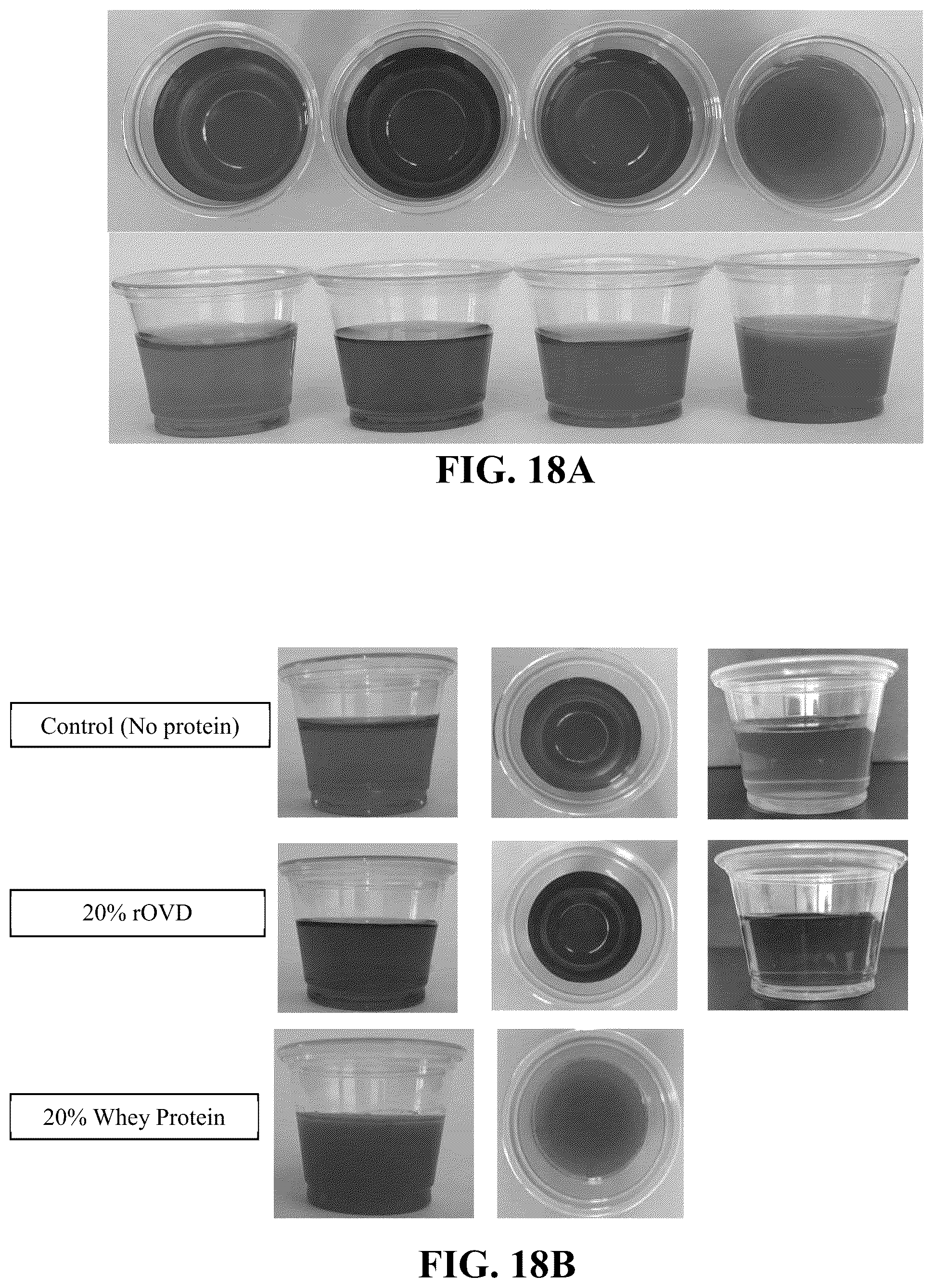 Patent US12096784 Figure 14 – Protein compositions and consumable products thereof