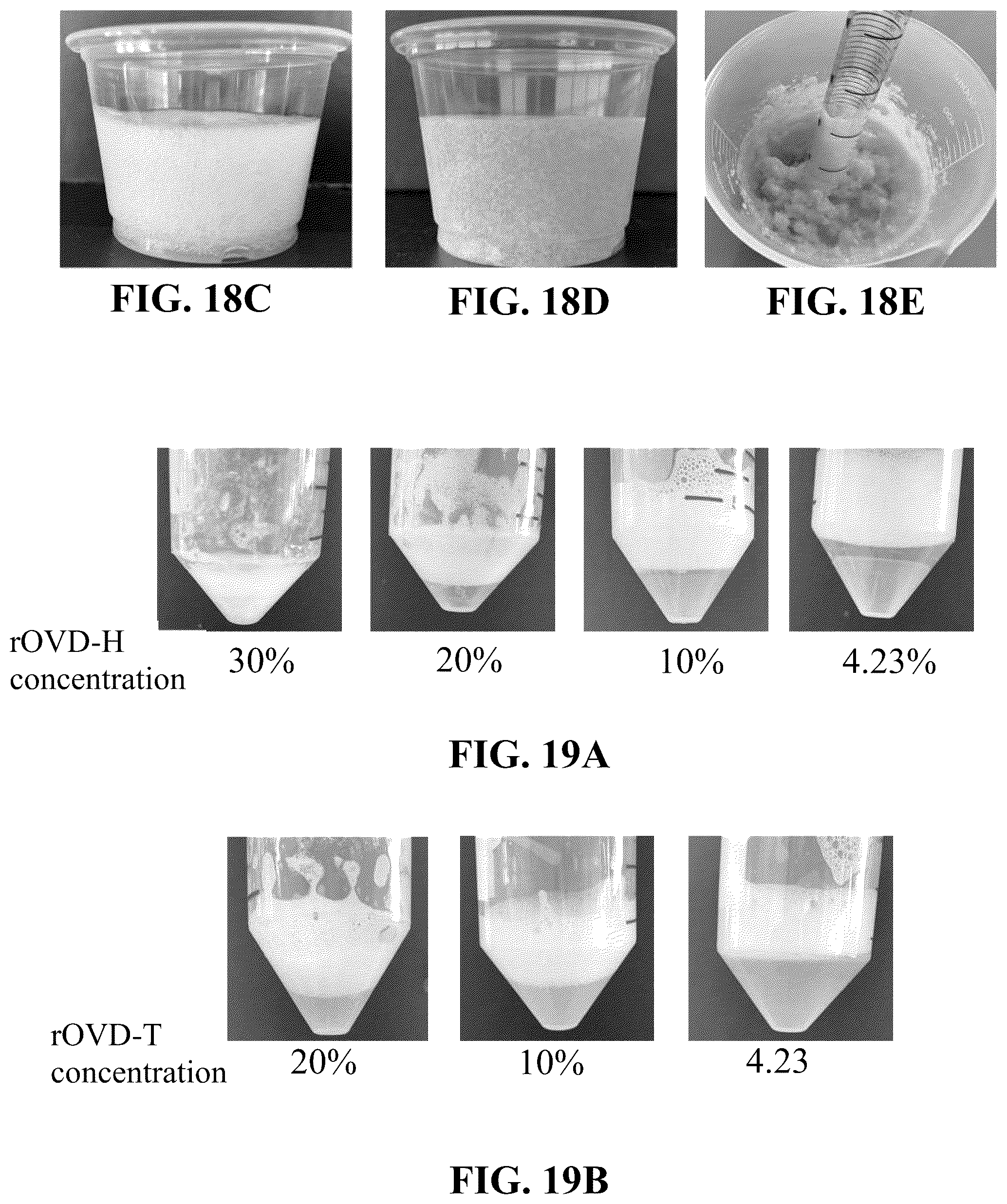 Patent US12096784 Figure 15 – Protein compositions and consumable products thereof