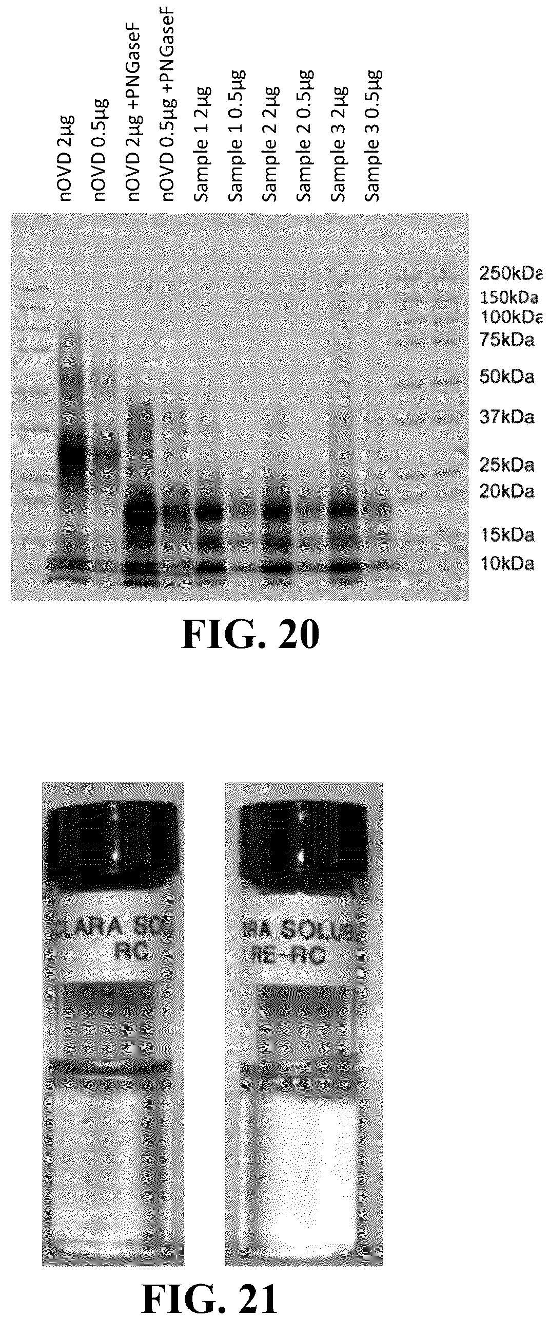 Patent US12096784 Figure 16 – Protein compositions and consumable products thereof
