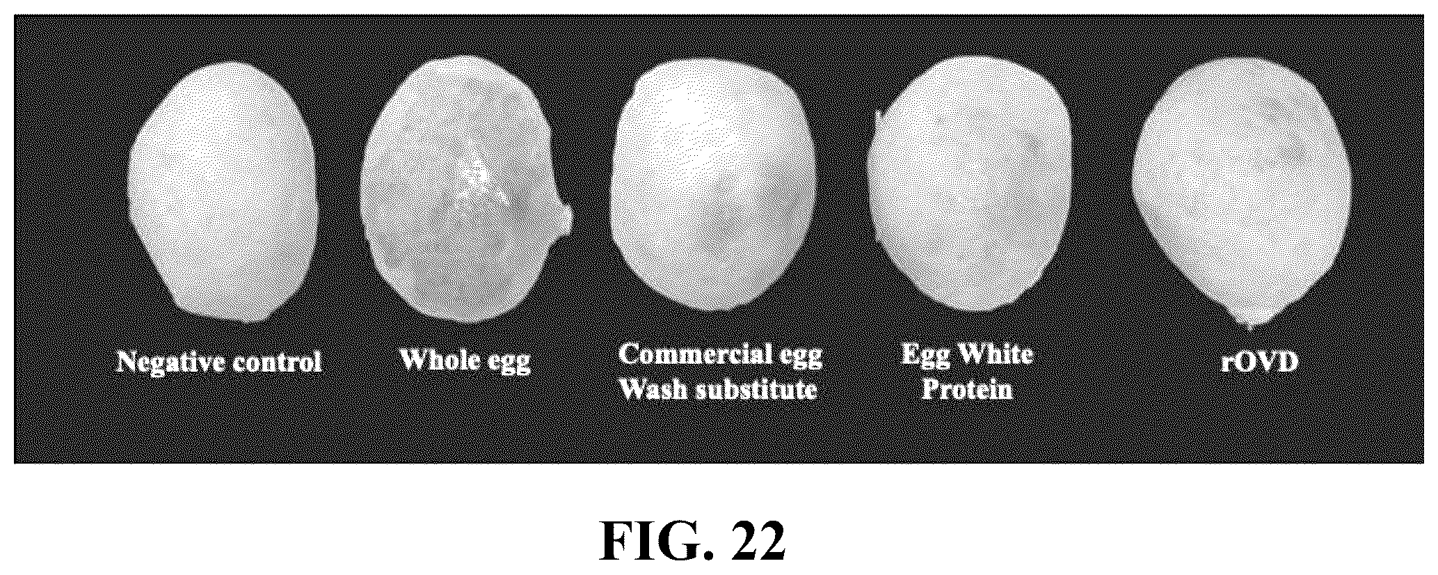 Patent US12096784 Figure 17 – Protein compositions and consumable products thereof