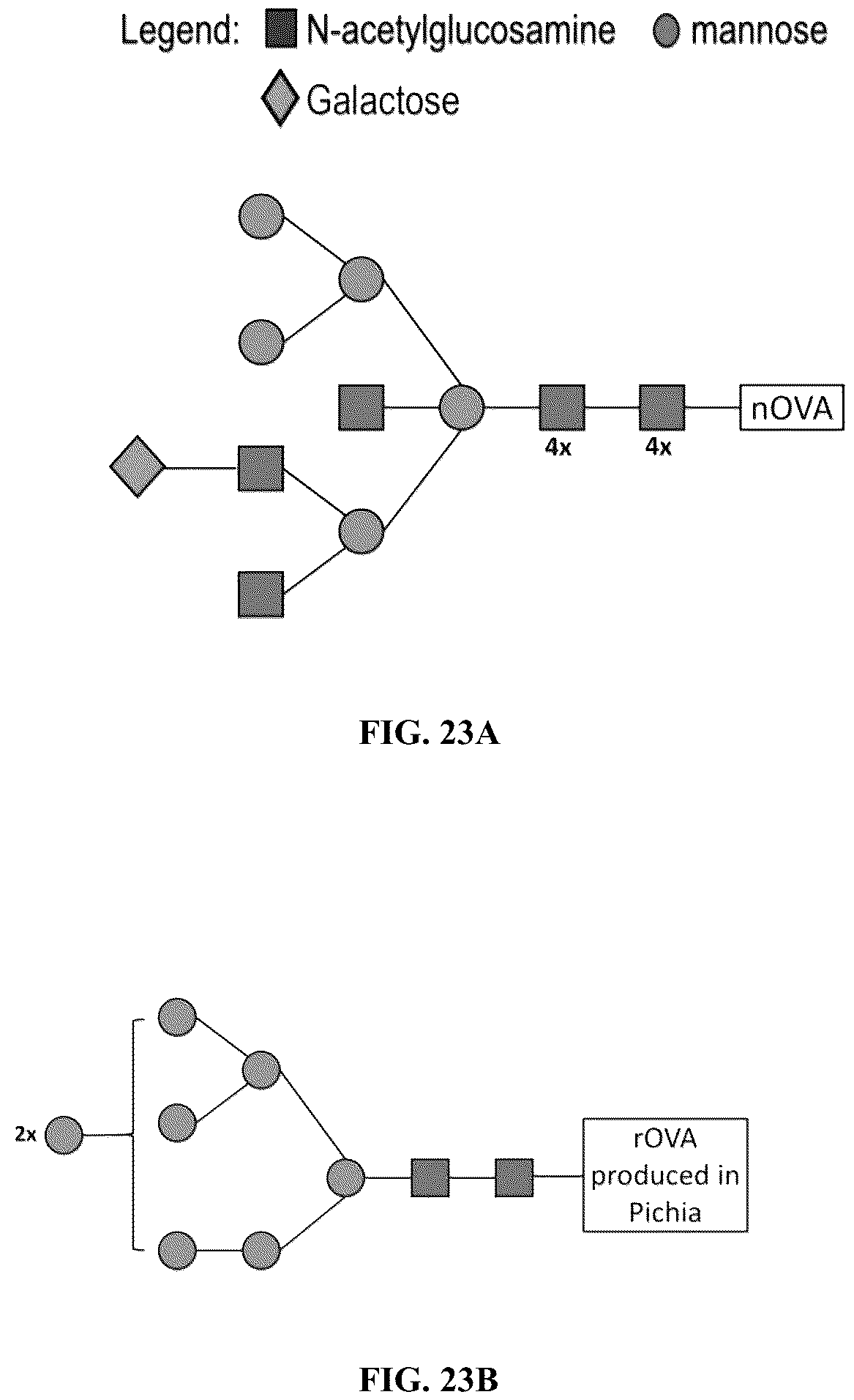 Patent US12096784 Figure 18 – Protein compositions and consumable products thereof