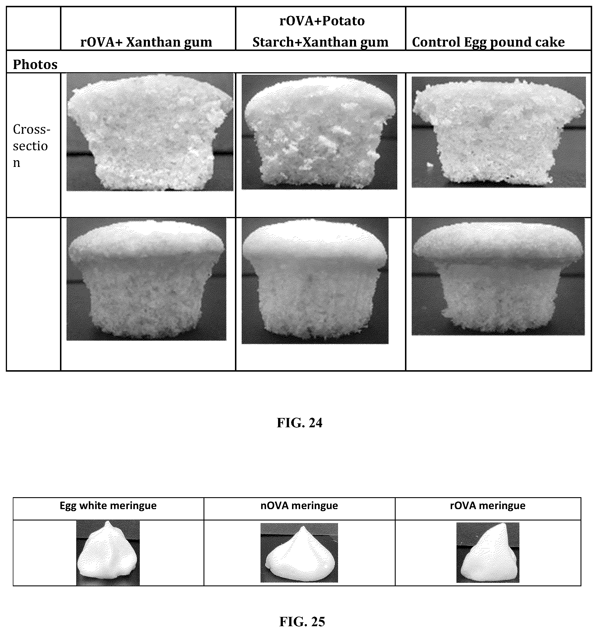Patent US12096784 Figure 19 – Protein compositions and consumable products thereof