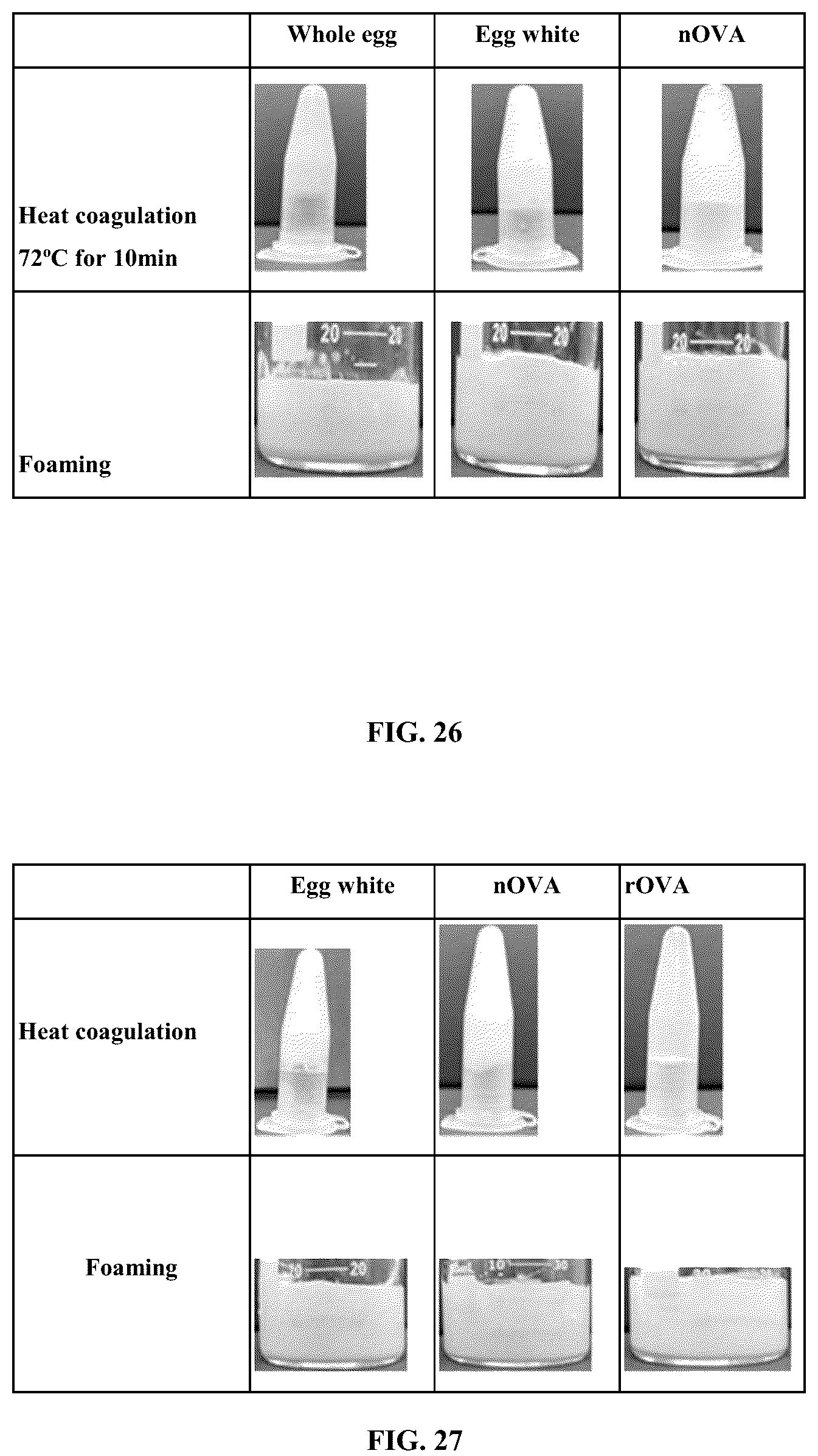 Patent US12096784 Figure 20 – Protein compositions and consumable products thereof