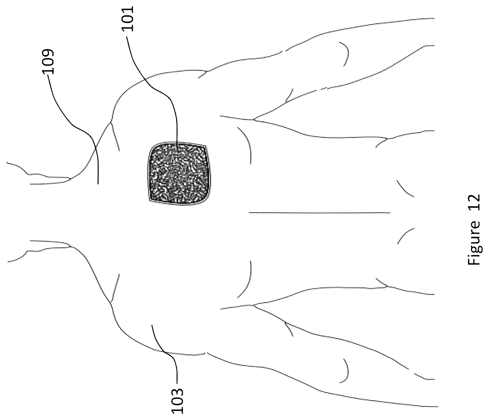 Patent US12096809 Figure 12 – Material and apparel that positively affect the health and wellbeing of a mammal