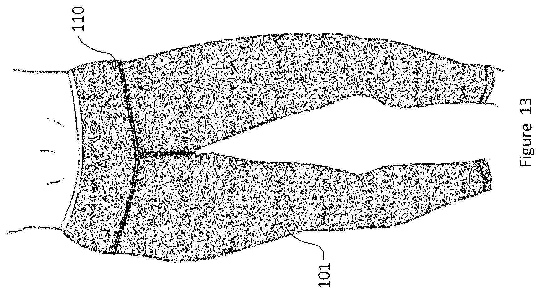 Patent US12096809 Figure 13 – Material and apparel that positively affect the health and wellbeing of a mammal
