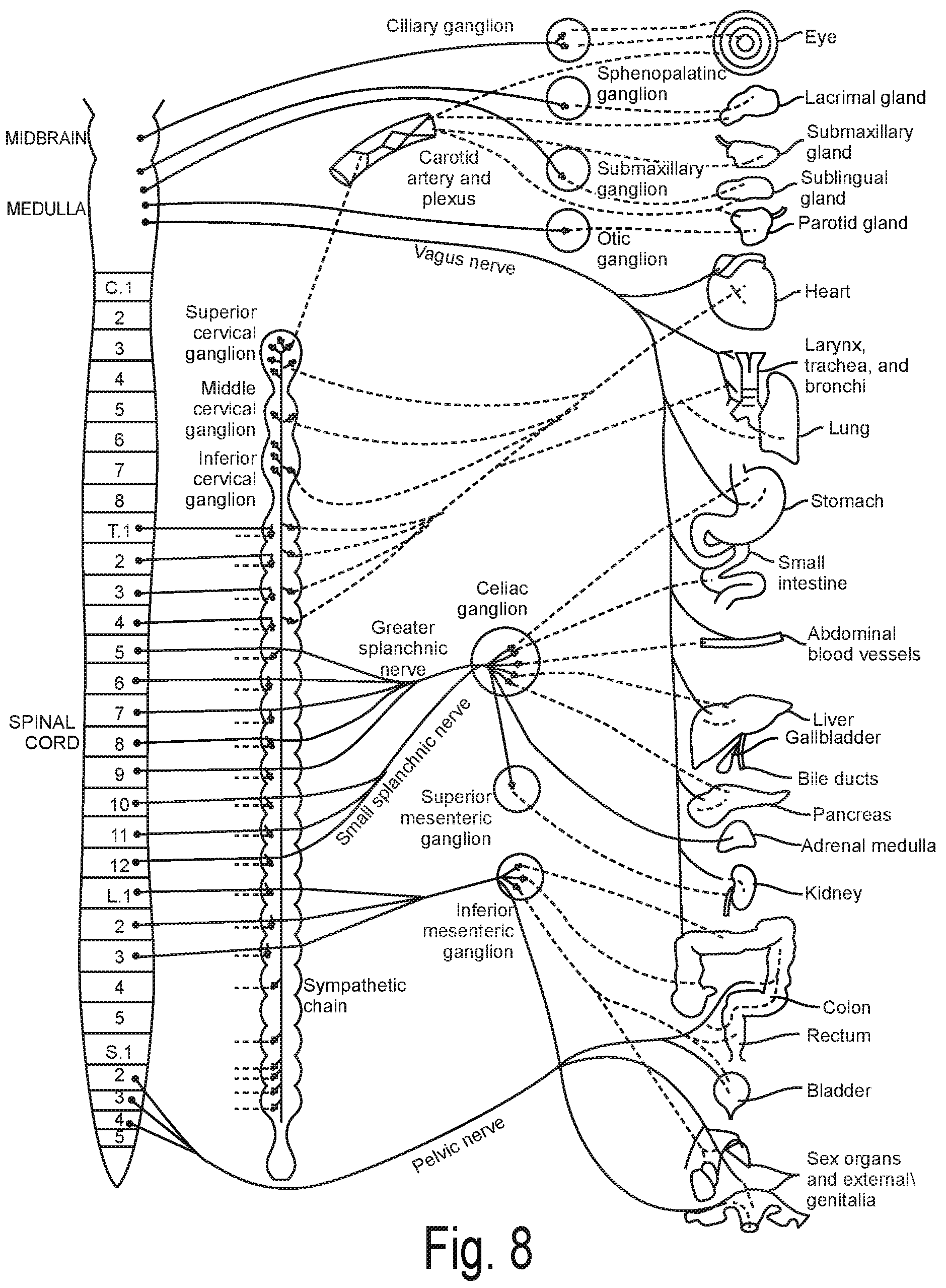 Patent US12096978 Figure 8 – Controlled irrigation for neuromodulation systems and associated methods