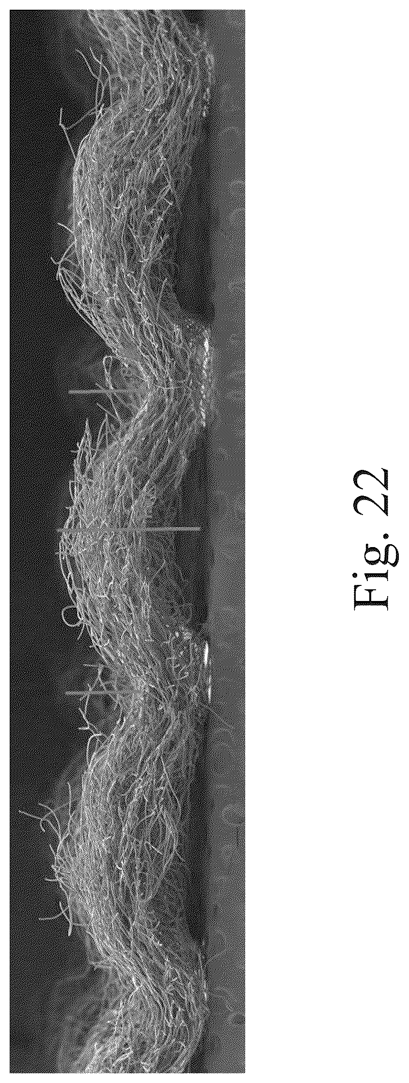 Patent US12097104 Figure 18 – Methods of making laminates for absorbent articles