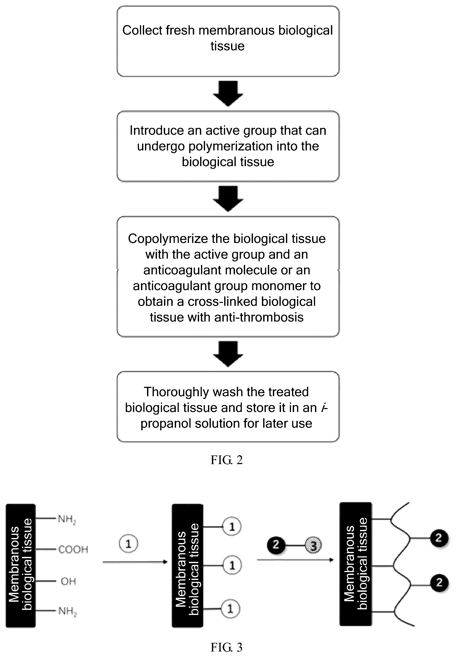 Patent US12097113 Figure 2 – Bioprosthetic valve and preparation method thereof