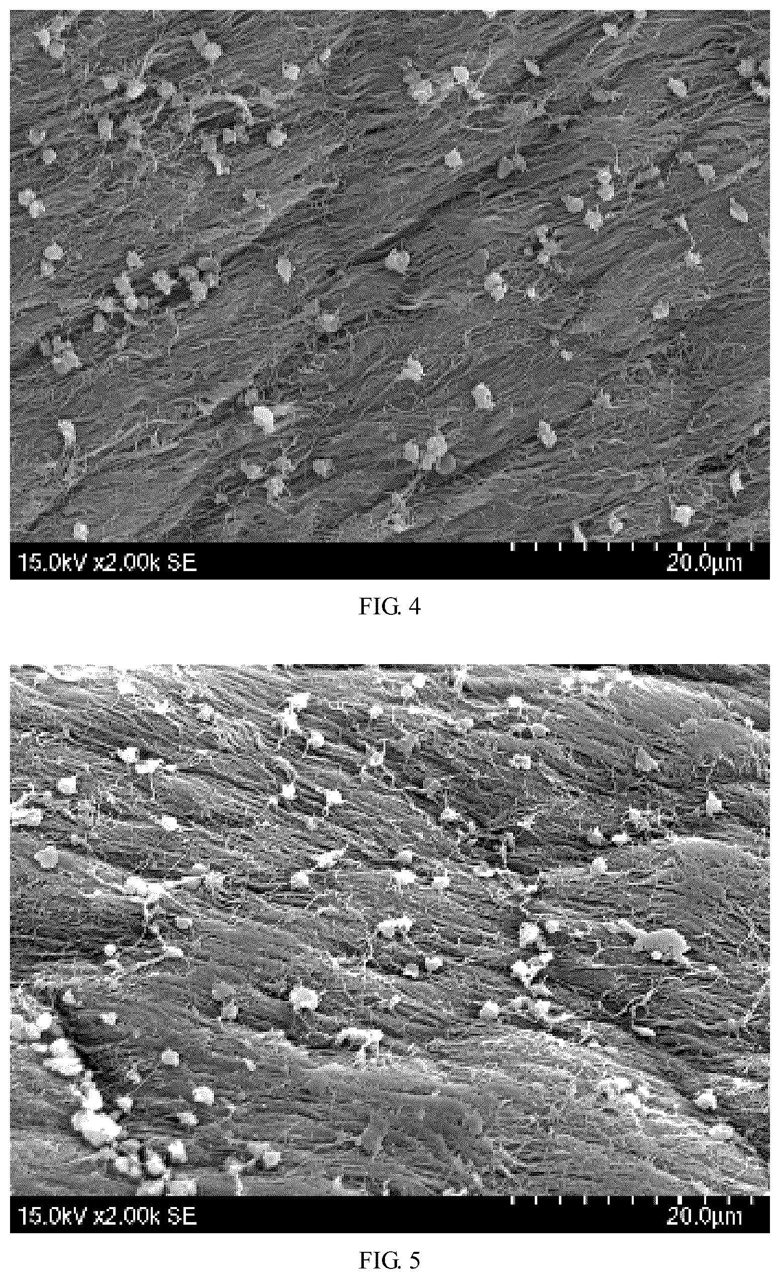 Patent US12097113 Figure 3 – Bioprosthetic valve and preparation method thereof